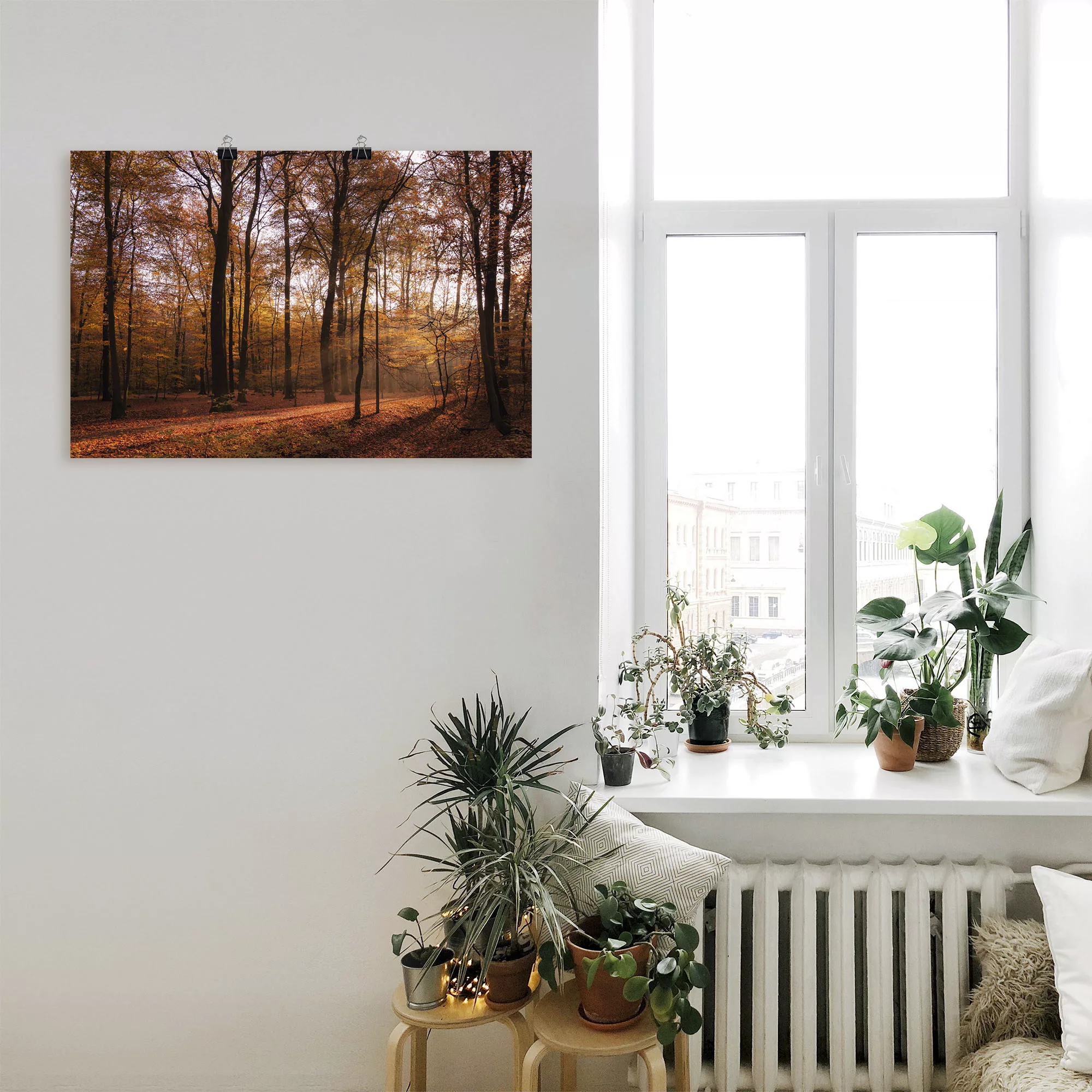 Artland Wandbild »Sonnenaufgang im Herbst II«, Wald, (1 St.), als Alubild, günstig online kaufen