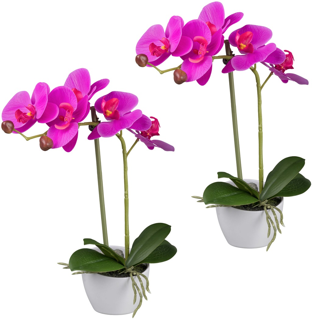 Creativ green Kunstorchidee "Orchidee Phalaenopsis", im weißen Design-Topf günstig online kaufen