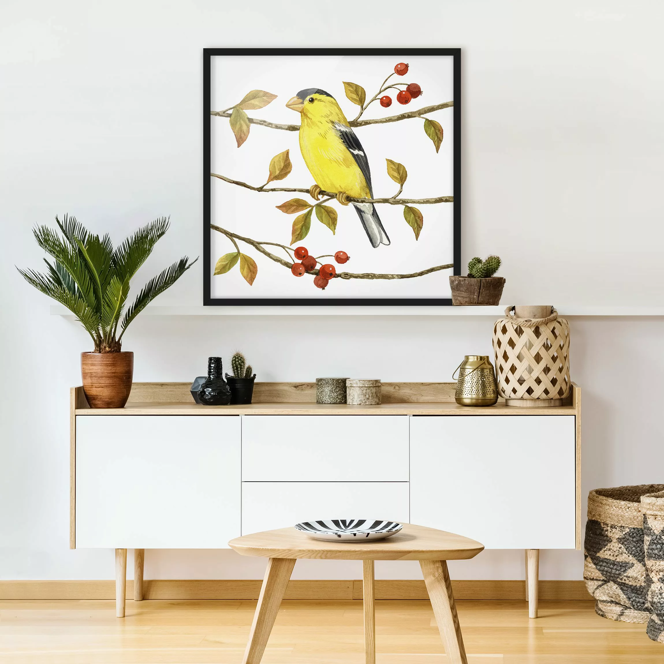 Bild mit Rahmen Tiere - Quadrat Vögel und Beeren - Goldzeisig günstig online kaufen