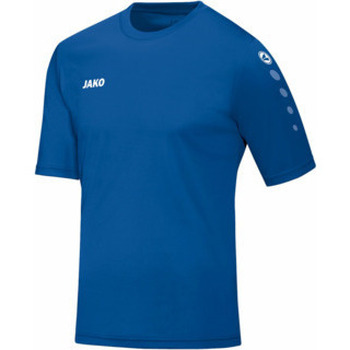 Jako Fußballtrikot 4233 Trikot Team KA günstig online kaufen