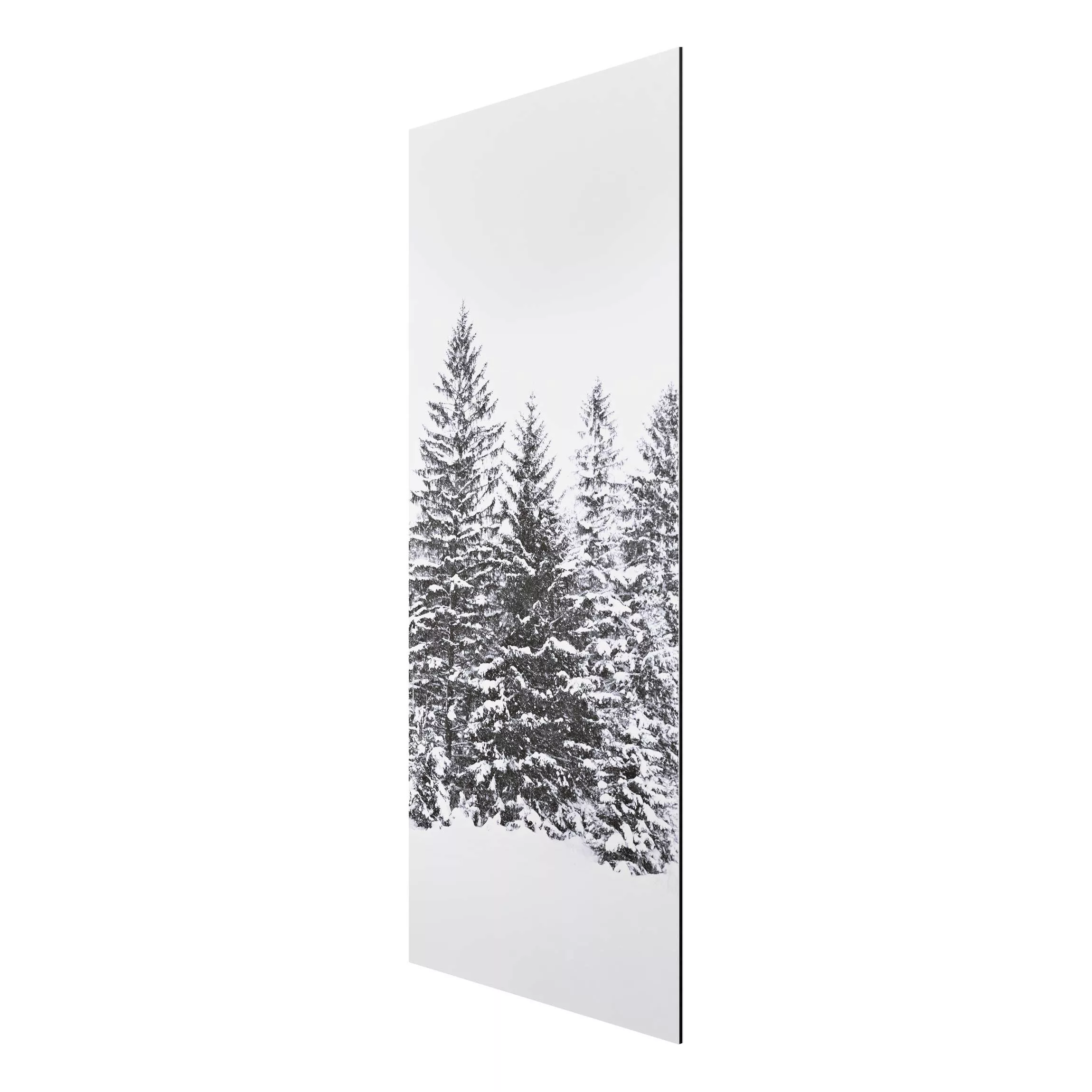 Alu-Dibond Bild Dunkle Winterlandschaft günstig online kaufen