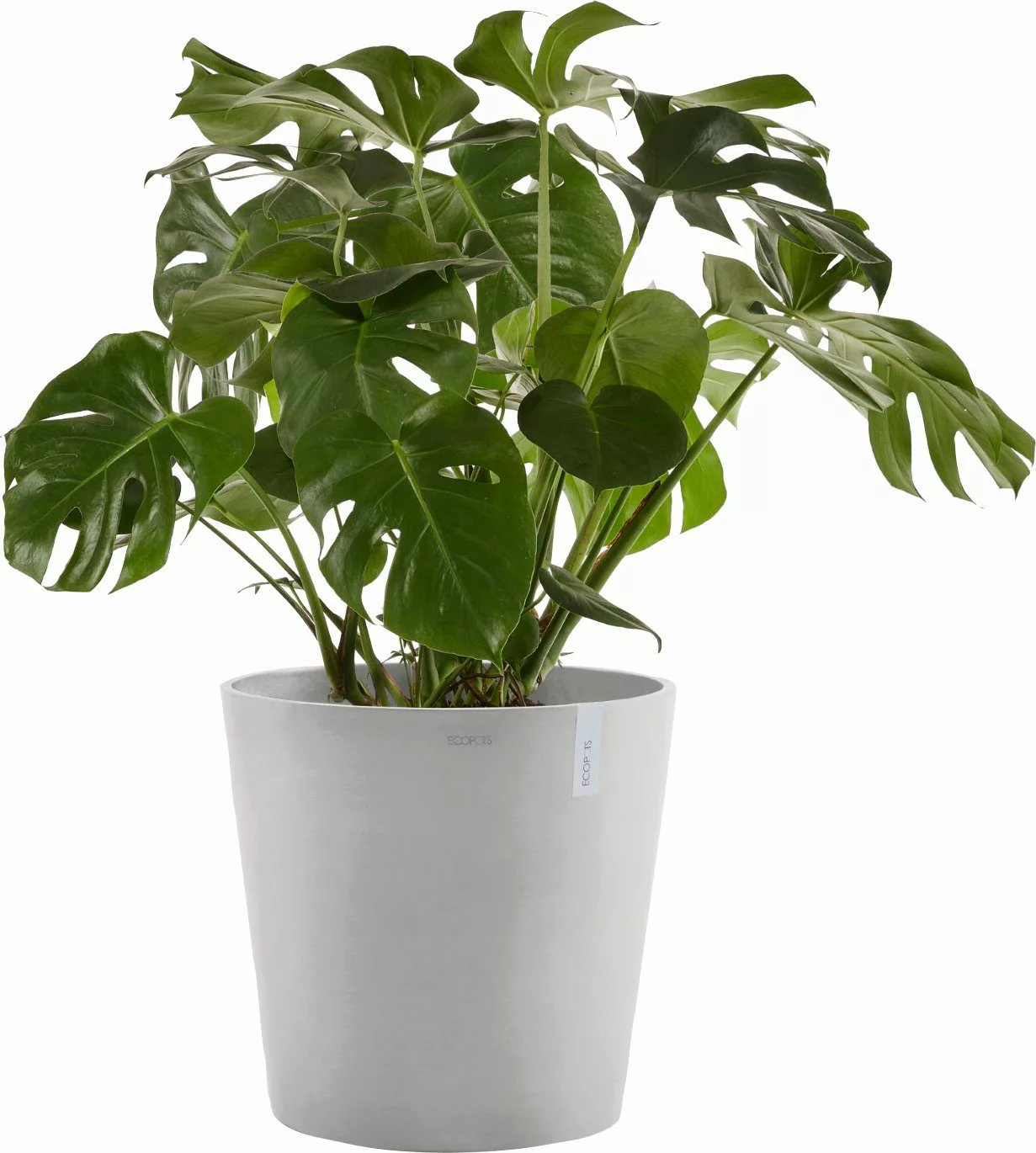 ECOPOTS Blumentopf AMSTERDAM White Grey, BxTxH: günstig online kaufen