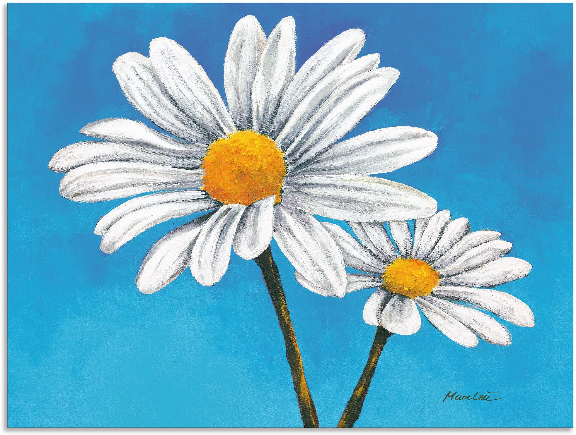 Artland Wandbild "Margeriten auf Blau", Blumen, (1 St.), als Alubild, Outdo günstig online kaufen