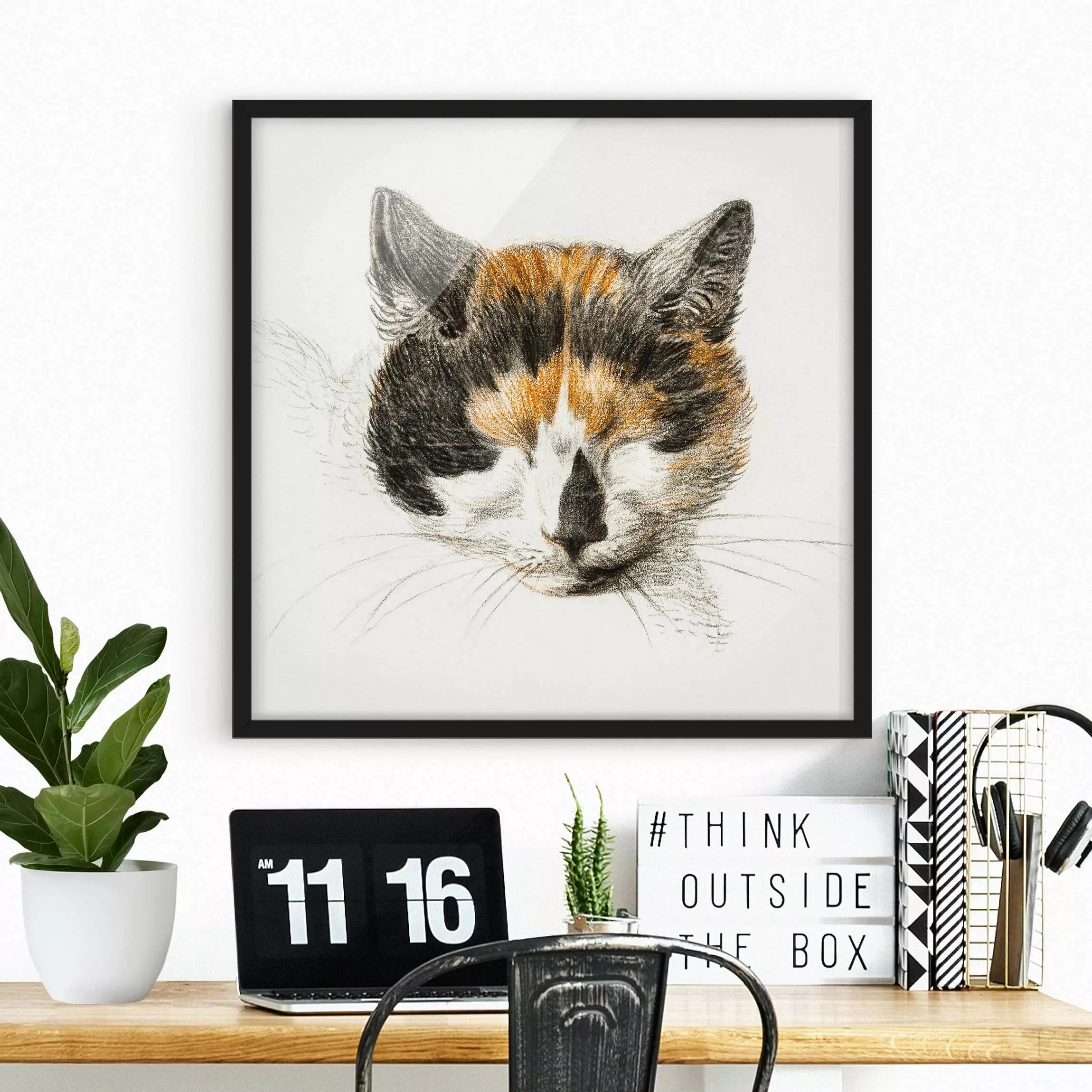 Bild mit Rahmen Tiere - Quadrat Vintage Zeichnung Katze IV günstig online kaufen