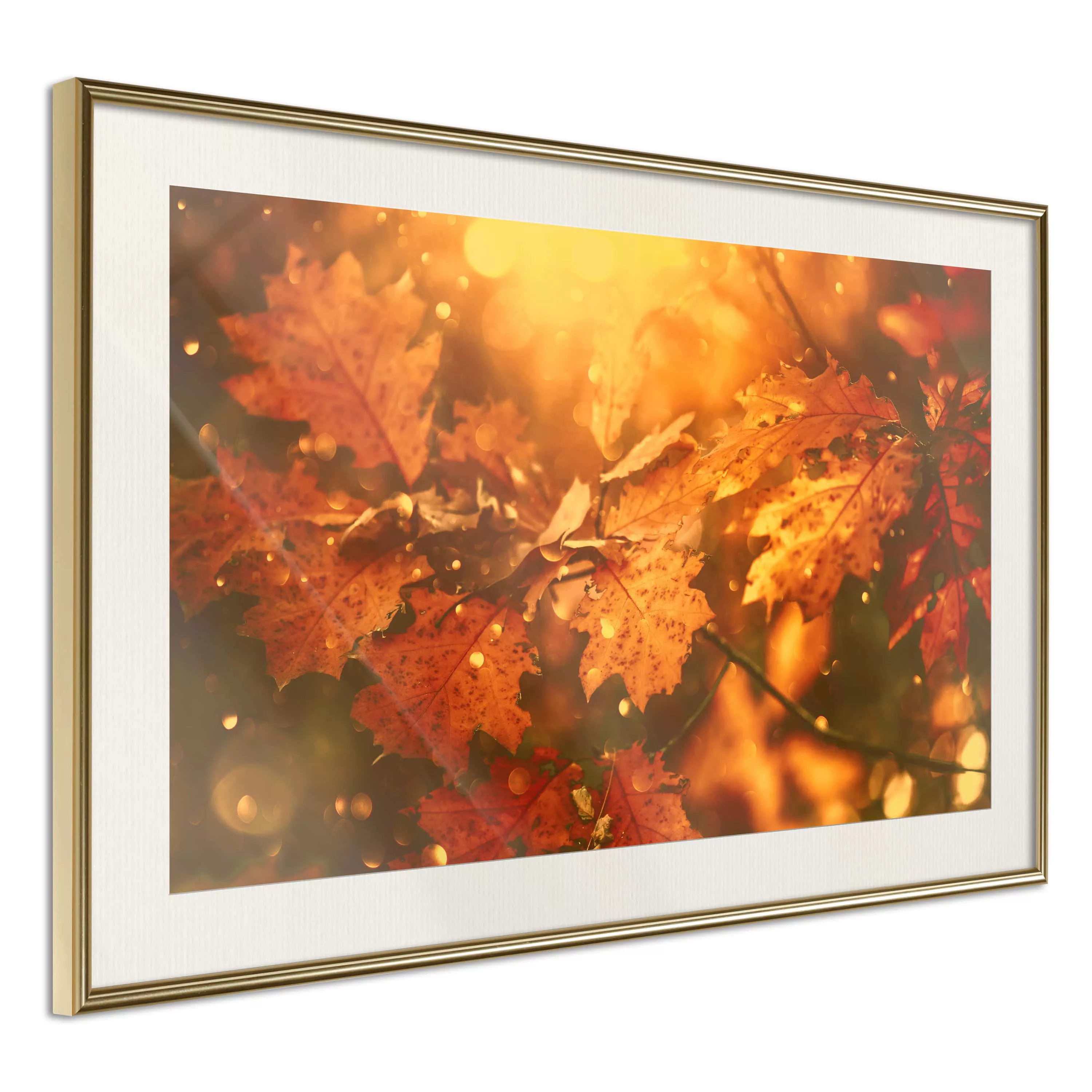 Poster - Golden Autumn günstig online kaufen