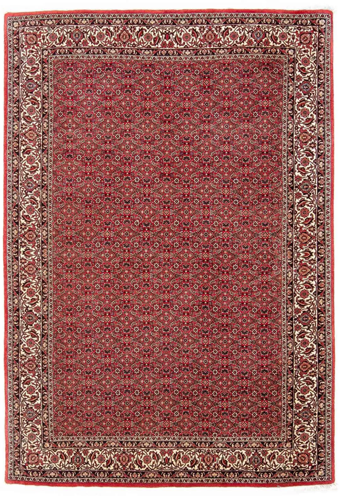morgenland Orientteppich »Perser - Bidjar - 248 x 174 cm - rot«, rechteckig günstig online kaufen