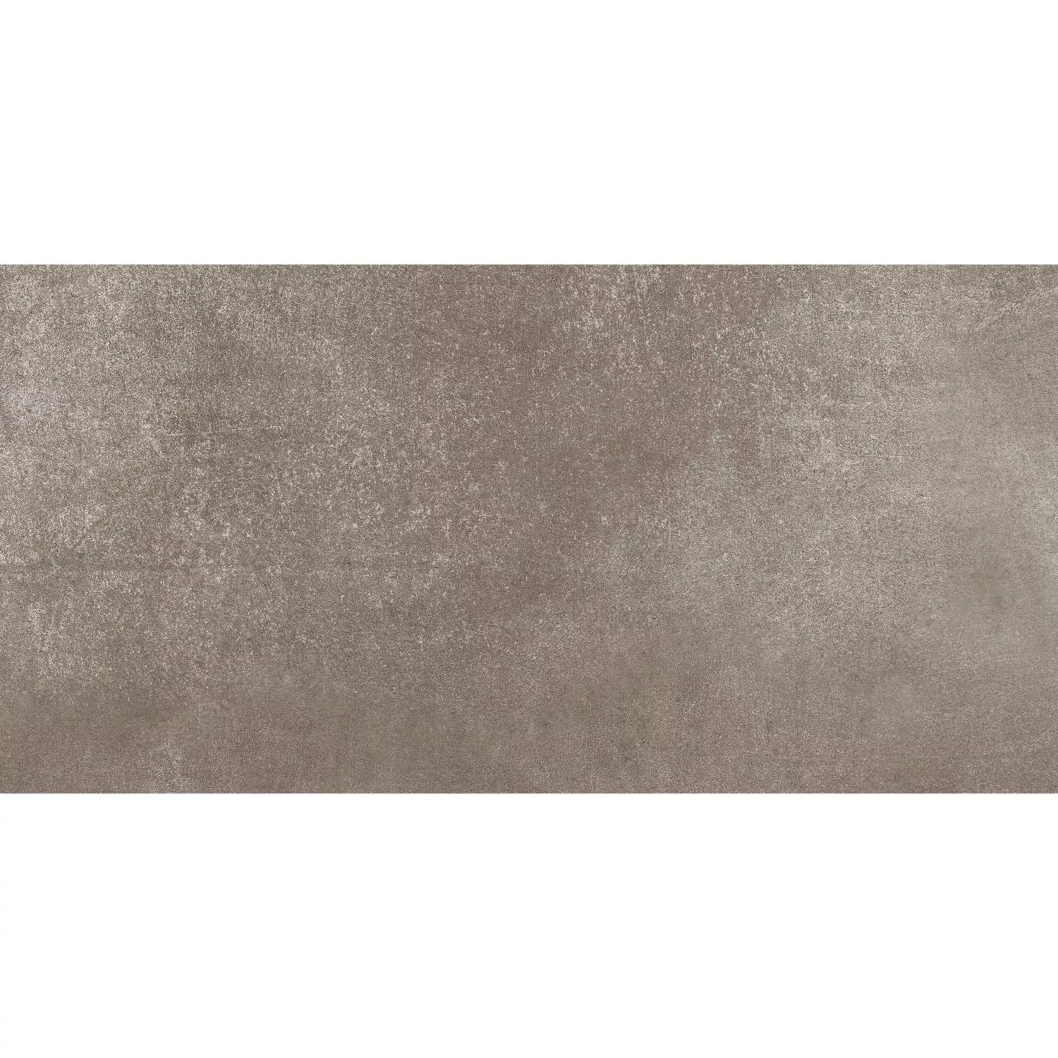 Bodenfliese Feinsteinzeug Marte Taupe 60 cm x 30,5 cm günstig online kaufen