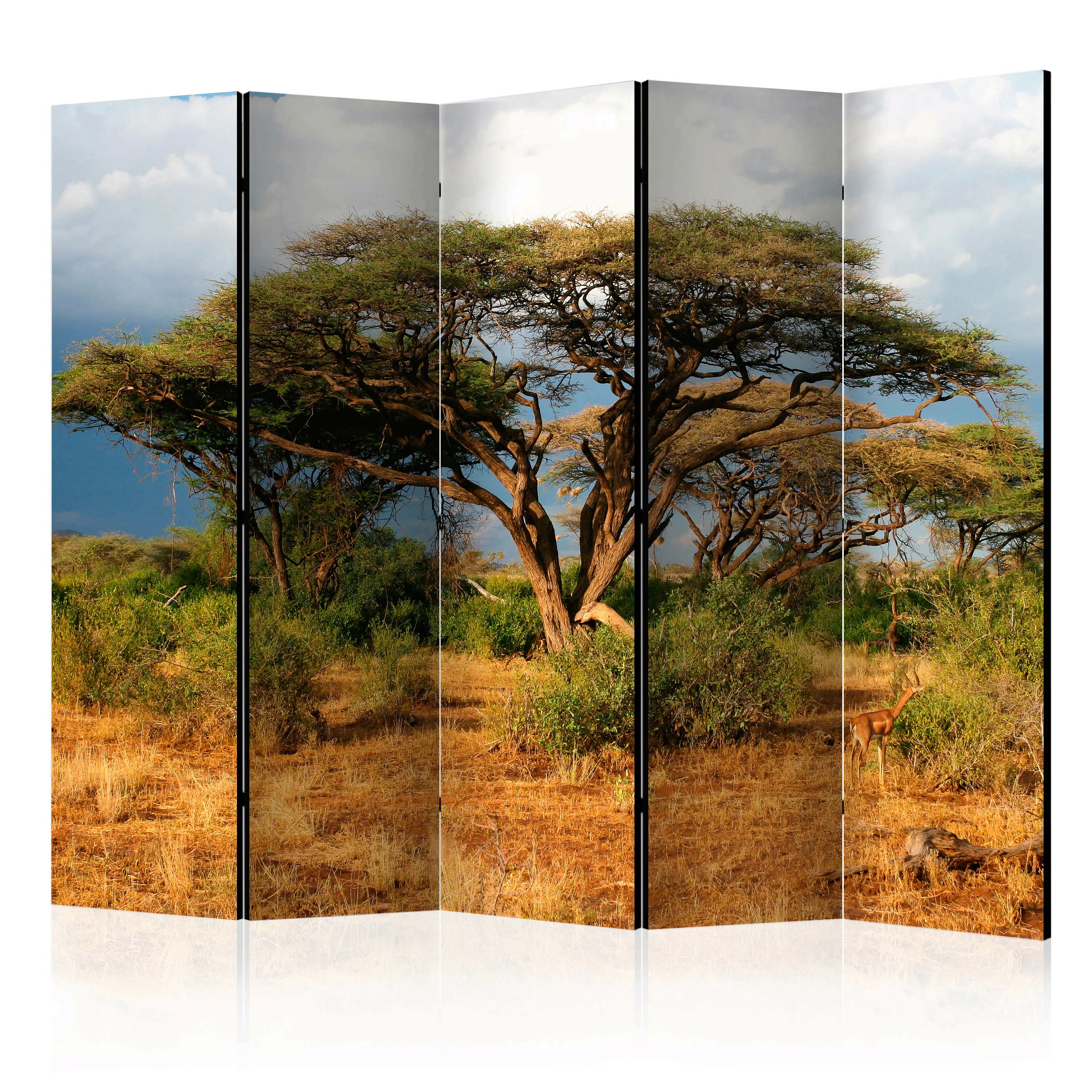 5-teiliges Paravent - Samburu National Reserve, Kenya Ii [room Dividers] günstig online kaufen