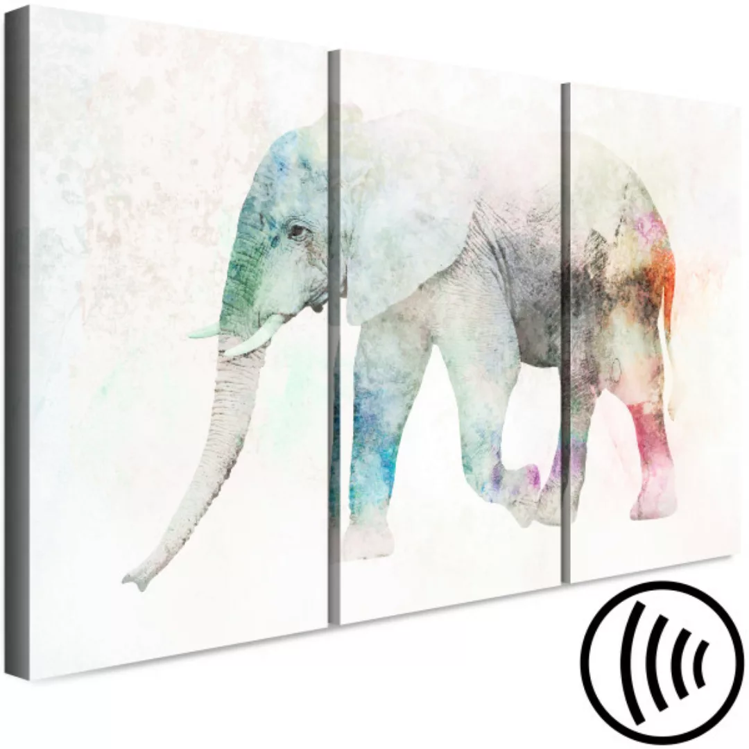 Bild auf Leinwand Painted Elephant (3 Parts) XXL günstig online kaufen