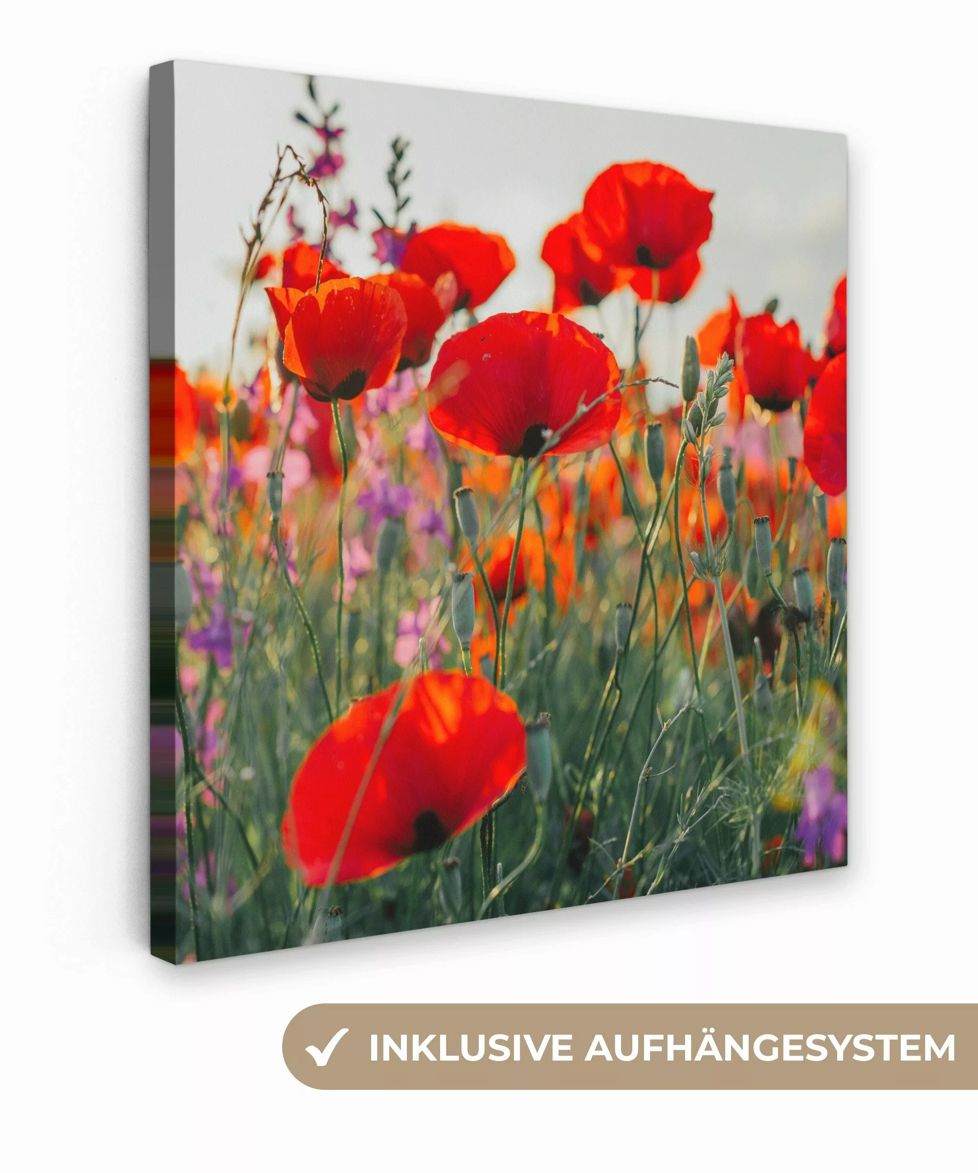 OneMillionCanvasses® Leinwandbild Mohn - Blumen - günstig online kaufen