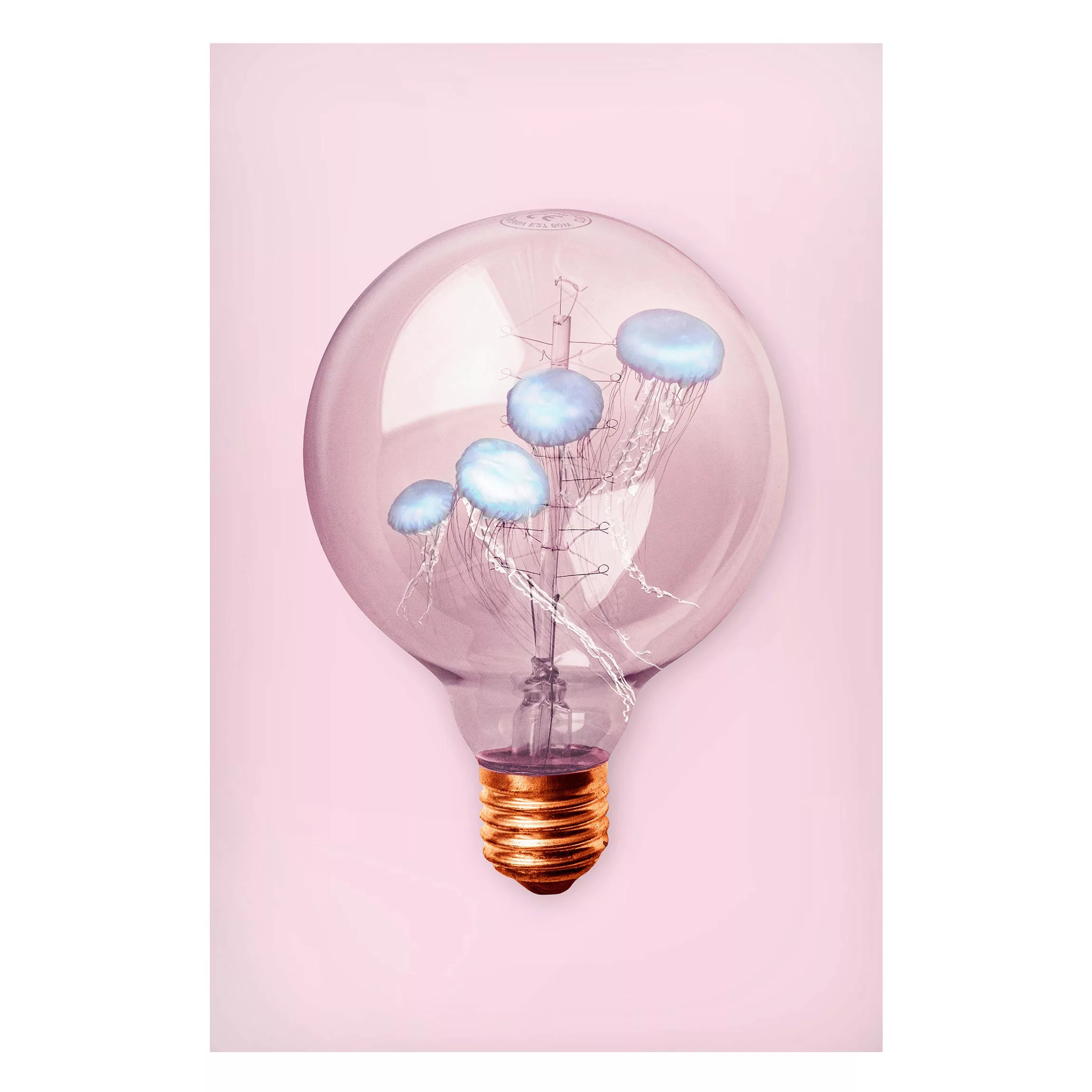 Magnettafel Tiere - Hochformat 2:3 Glühbirne mit Quallen günstig online kaufen