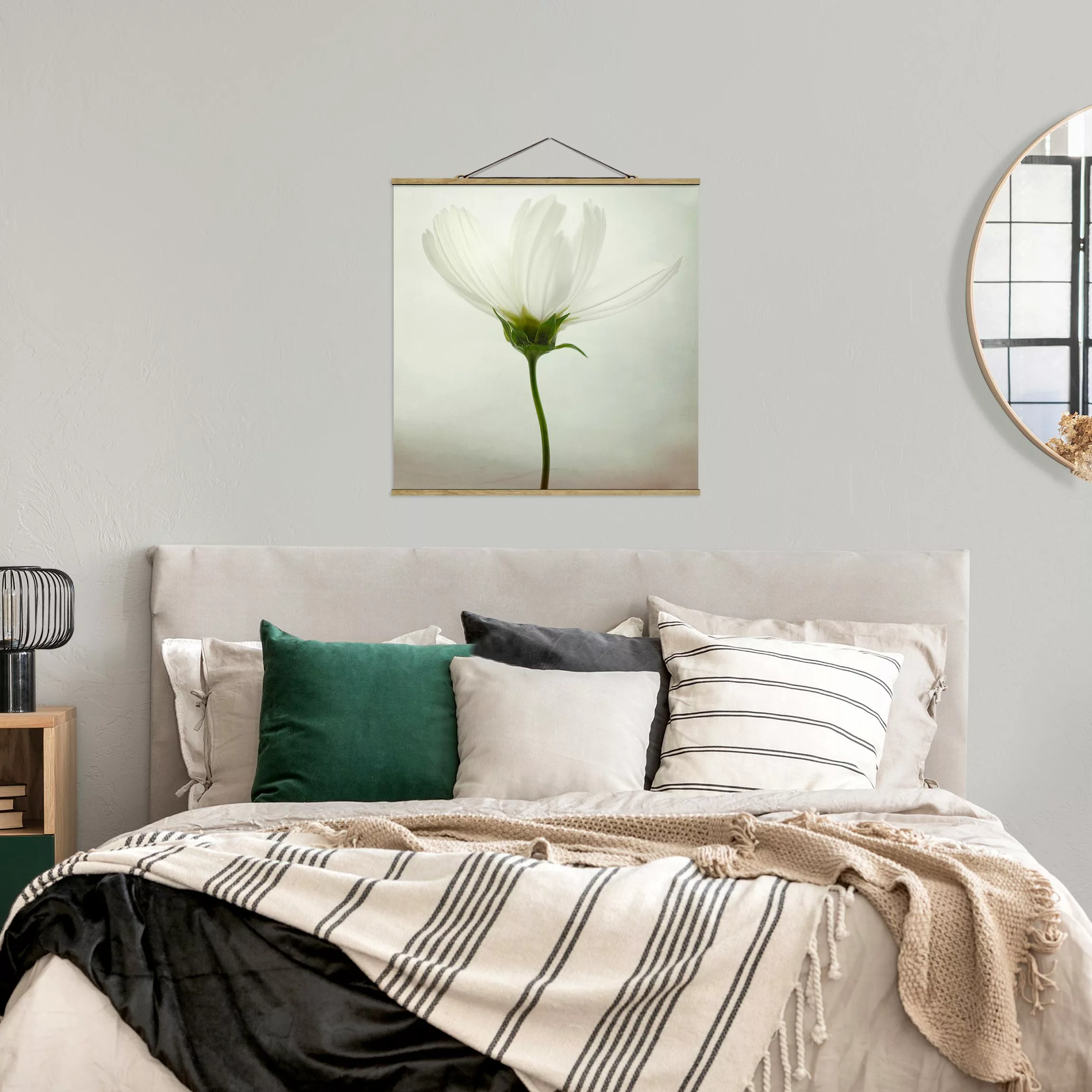 Stoffbild Blumen mit Posterleisten - Quadrat Weiße Cosmea günstig online kaufen