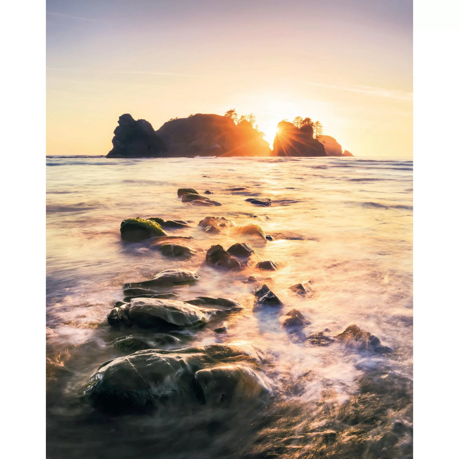 Komar Fototapete Vlies Island Dreaming  200 x 250 cm günstig online kaufen