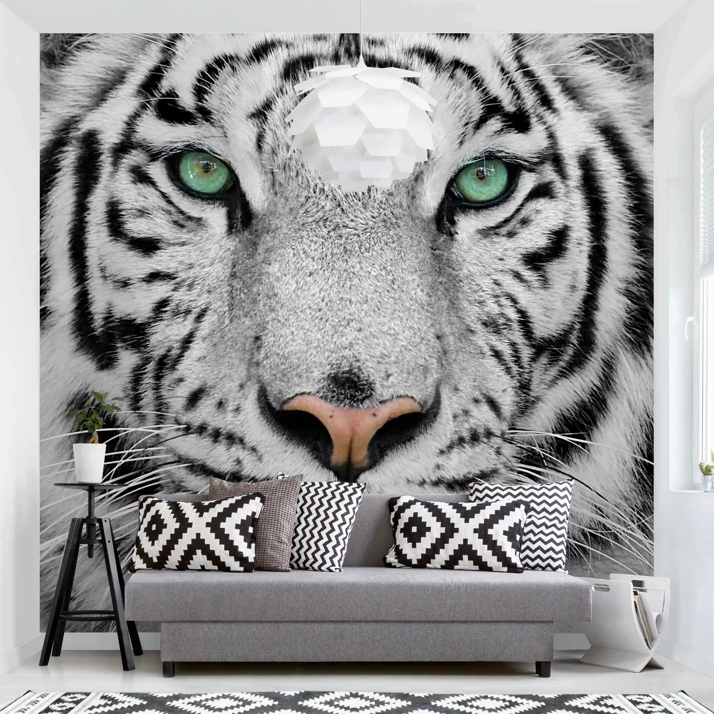 Bilderwelten Fototapete Weißer Tiger schwarz/weiß Gr. 192 x 192 günstig online kaufen