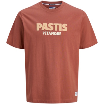 Jack & Jones  T-Shirt T-Shirt AMALFI Kurzarmshirt günstig online kaufen