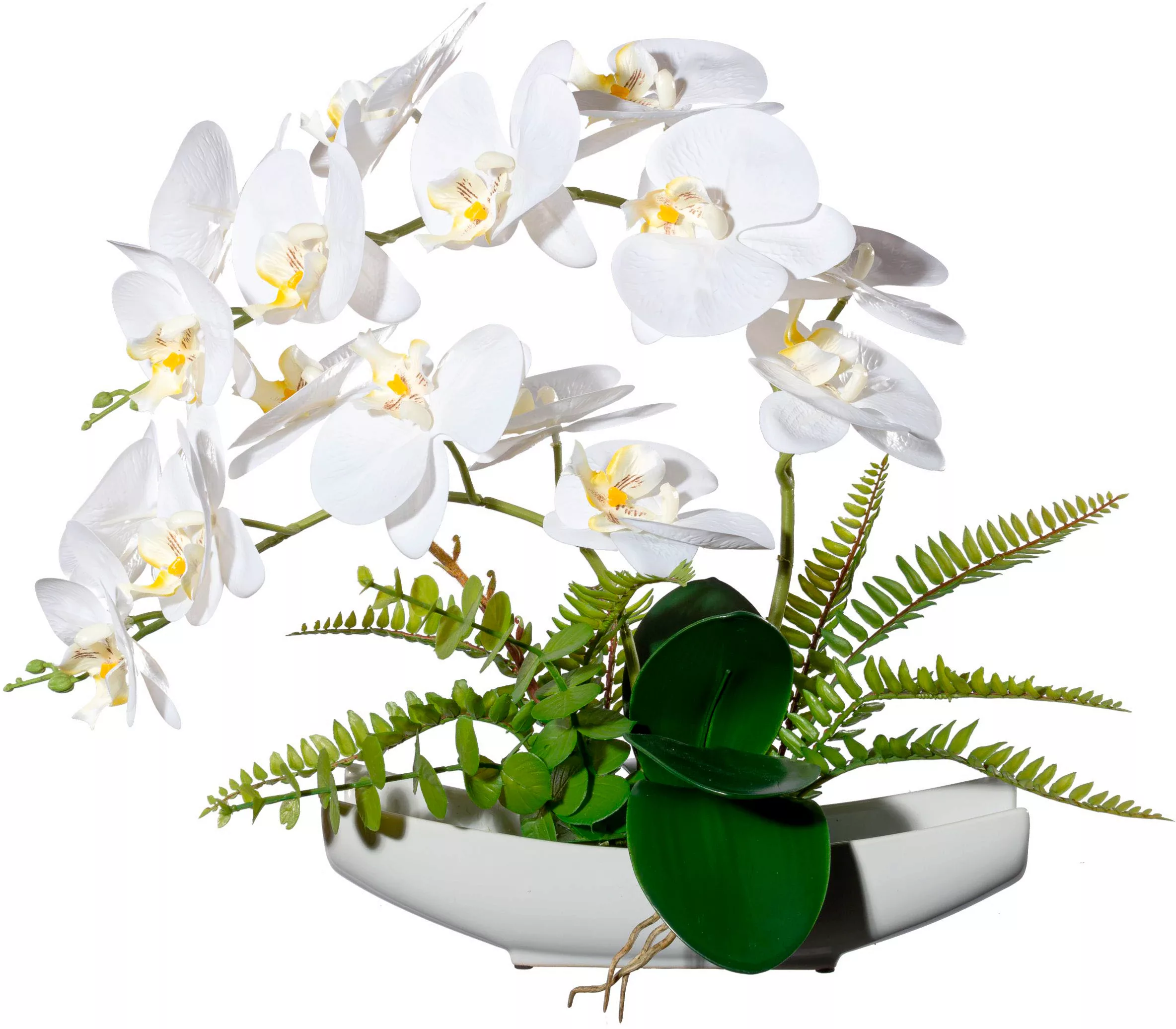 Creativ green Kunstorchidee "Orchidee Phalaenopsis in Keramikschale" günstig online kaufen
