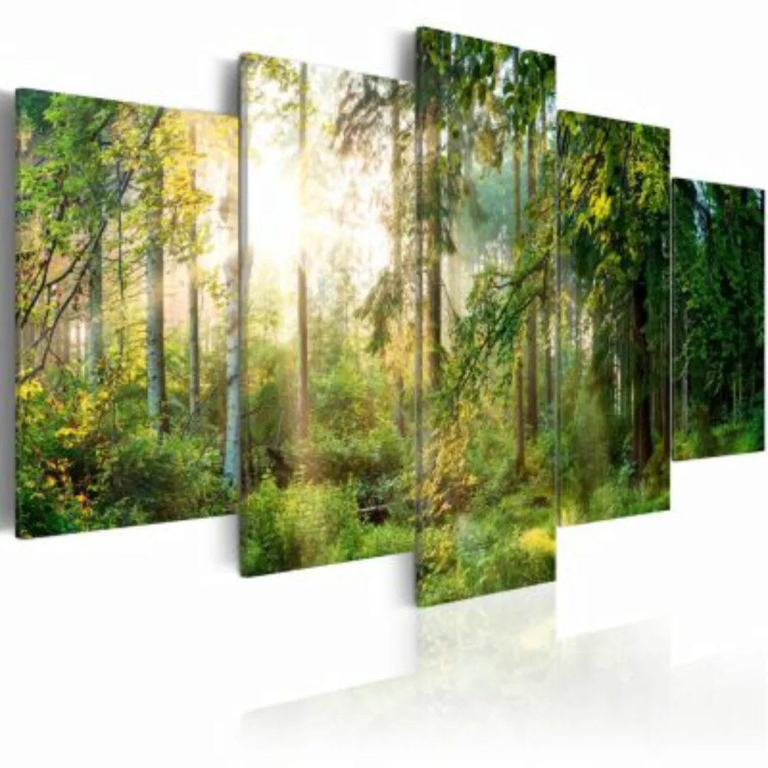 artgeist Wandbild Green Sanctuary mehrfarbig Gr. 200 x 100 günstig online kaufen