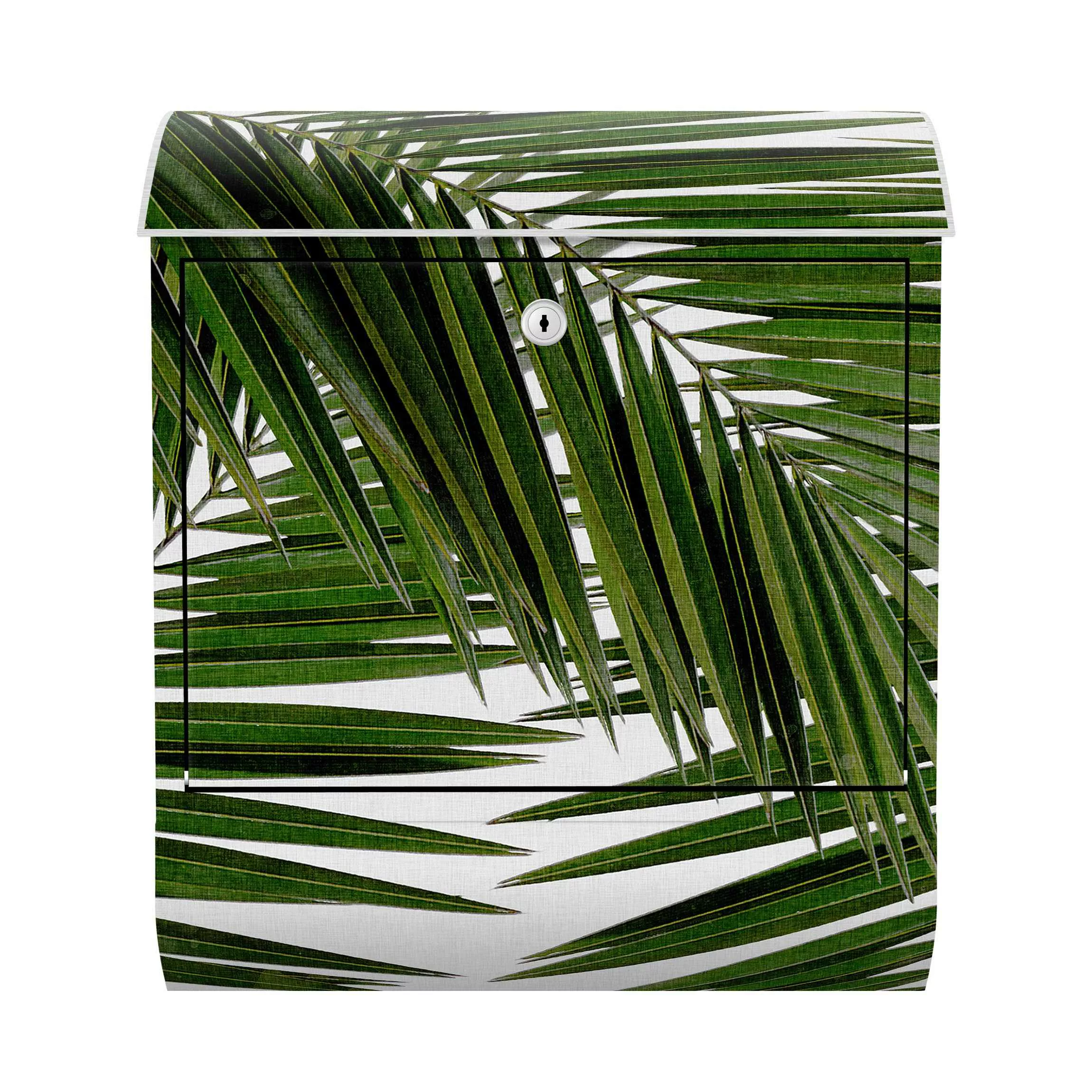 Briefkasten Blick durch grüne Palmenblätter günstig online kaufen