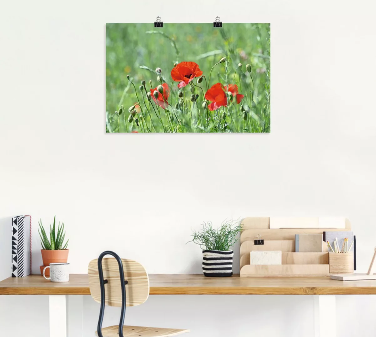 Artland Wandbild "Mohnblumen im Gras", Blumenbilder, (1 St.) günstig online kaufen