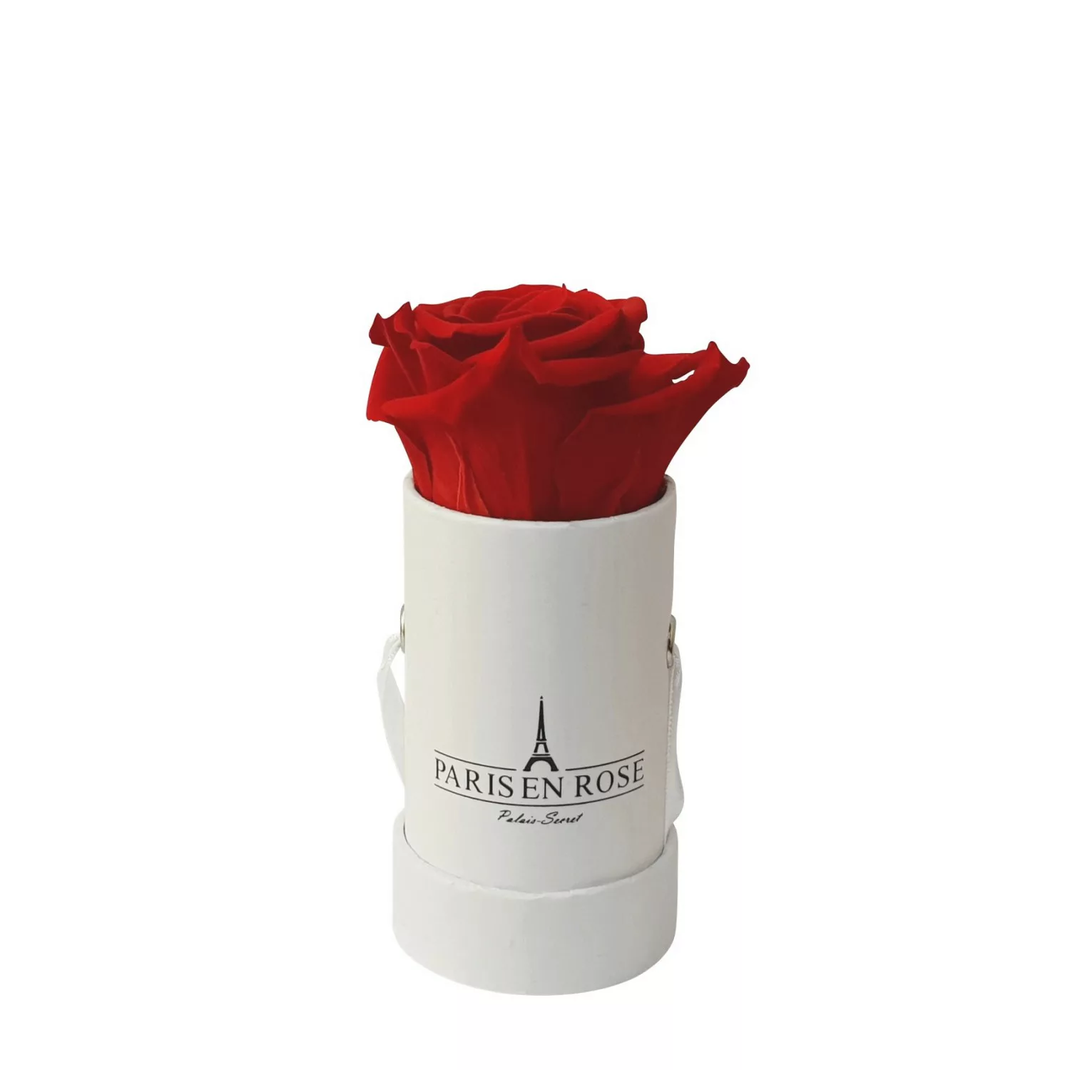 Rosenbox Ø 5 cm Weiß mit einer Roten Rose günstig online kaufen