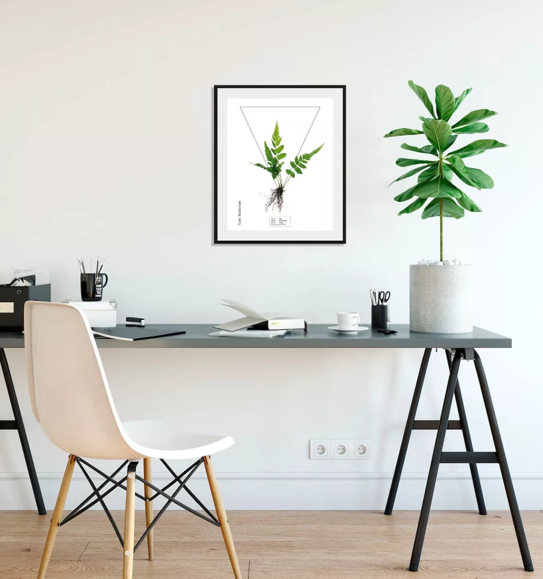 queence Bild "Pteridophyta", (1 St.) günstig online kaufen