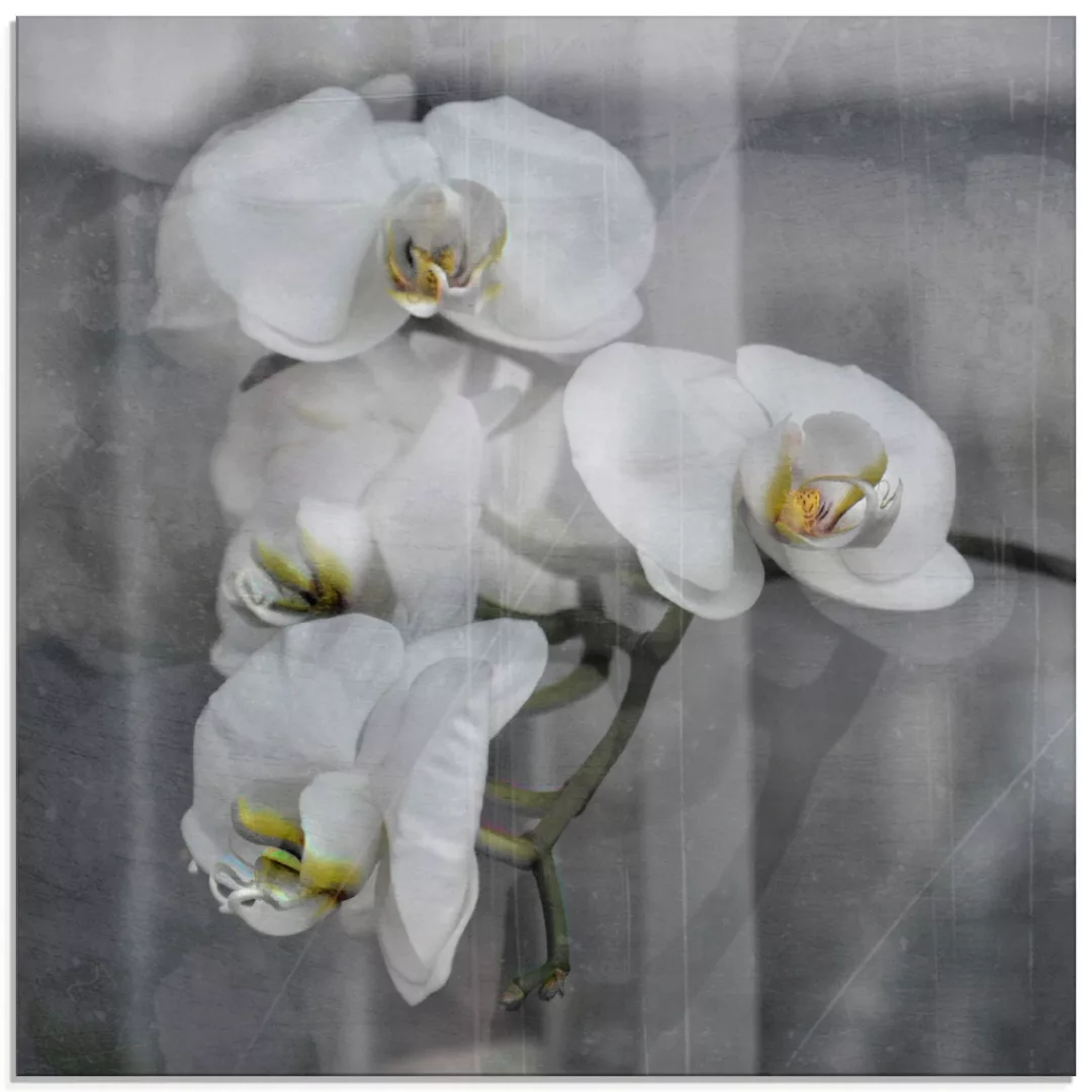 Artland Glasbild »Weisse Orchideen - white Orchid«, Blumen, (1 St.) günstig online kaufen
