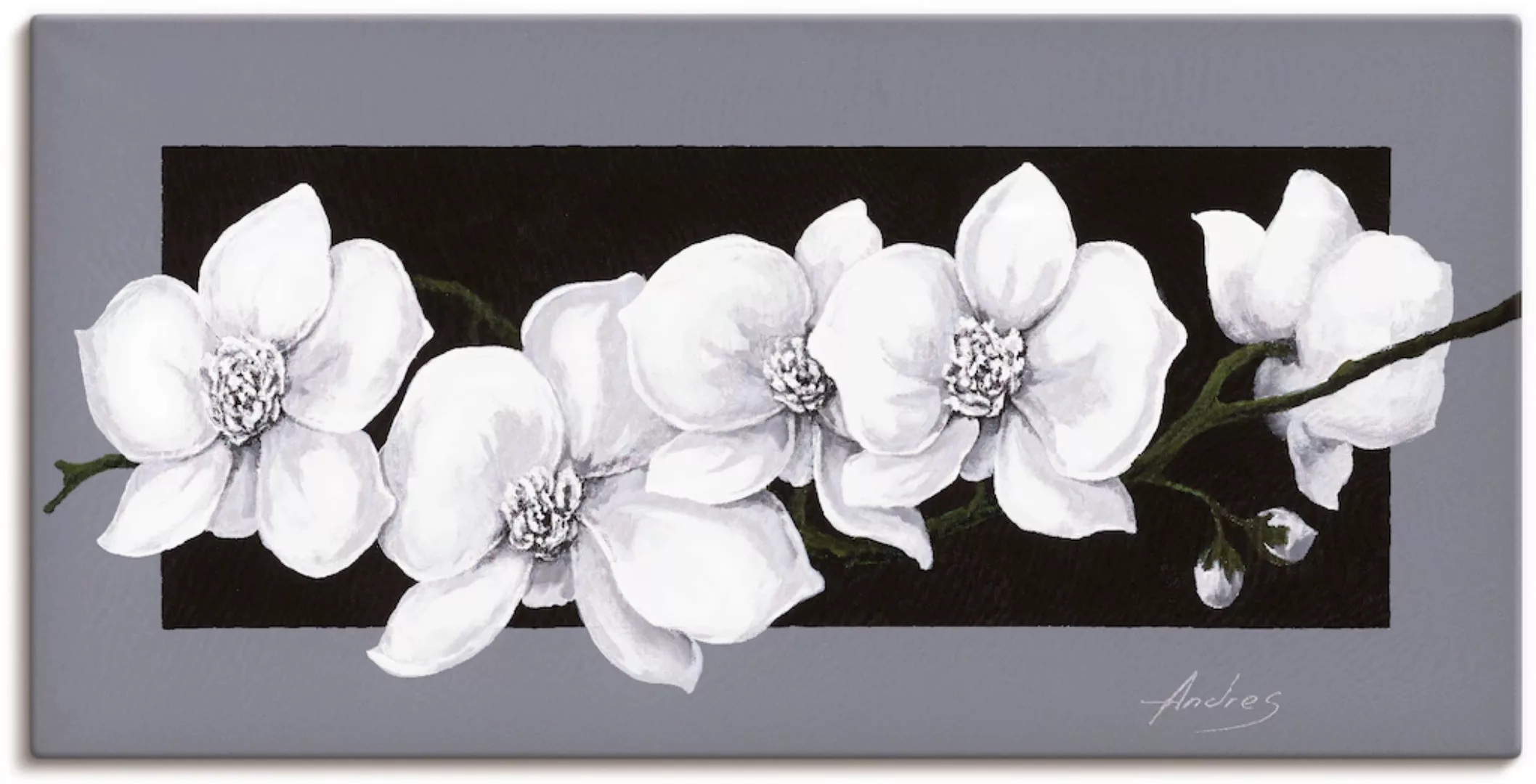 Artland Wandbild "Weiße Orchideen auf grau", Blumen, (1 St.), als Alubild, günstig online kaufen