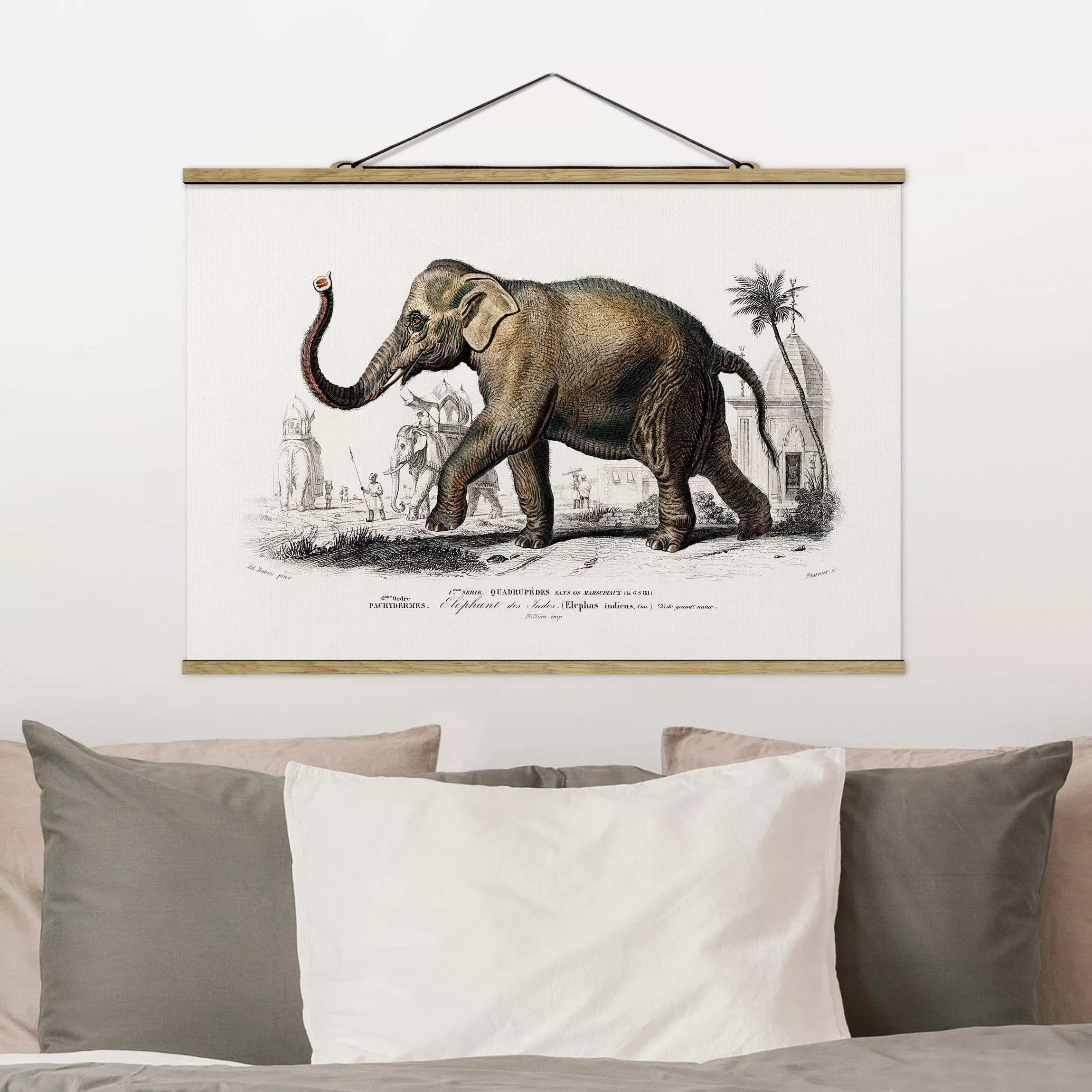 Stoffbild Tiere mit Posterleisten - Querformat Vintage Lehrtafel Elefant günstig online kaufen