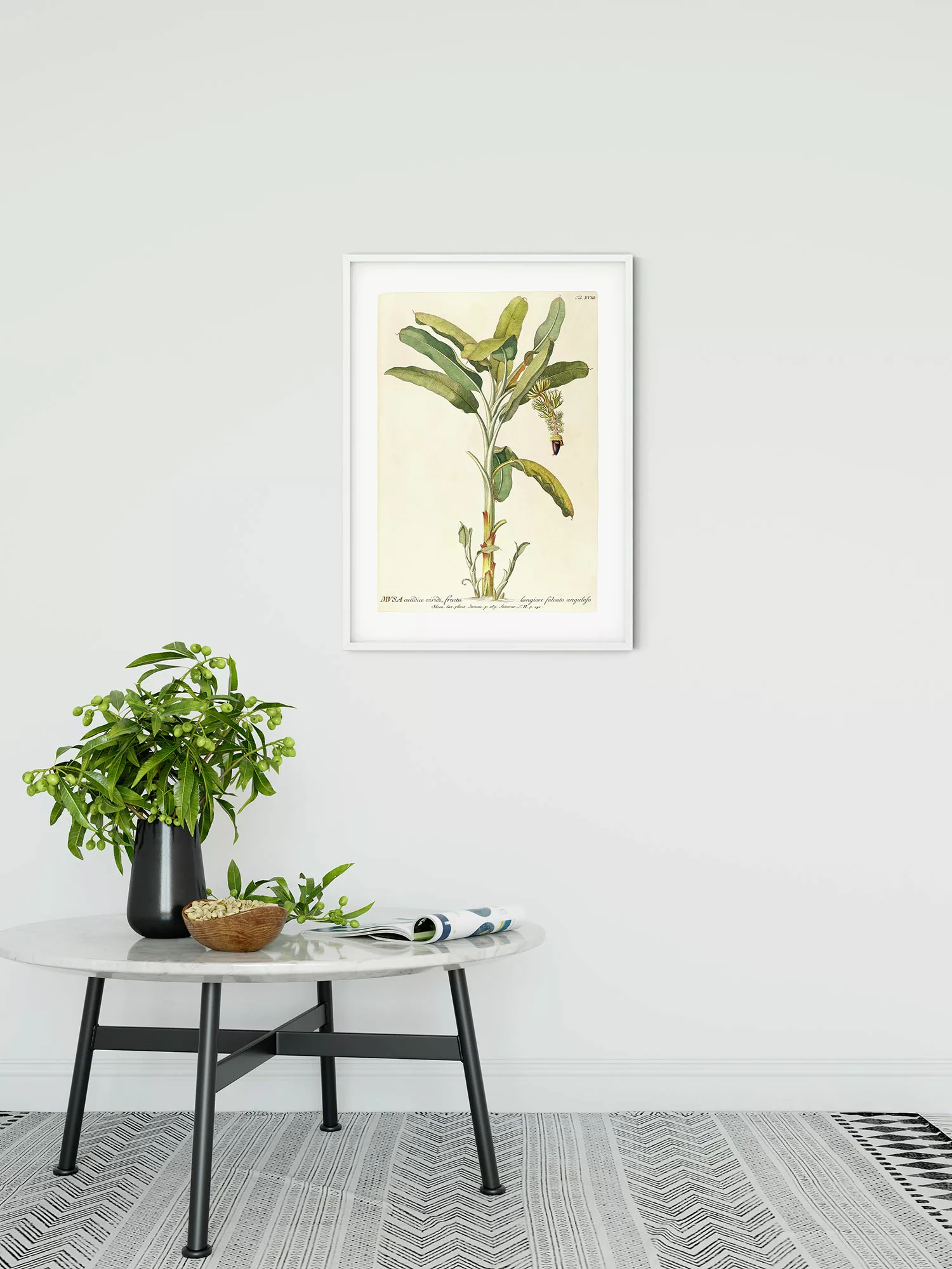 Komar Poster "Rainforest Sapling", (1 St.), Kinderzimmer, Schlafzimmer, Woh günstig online kaufen