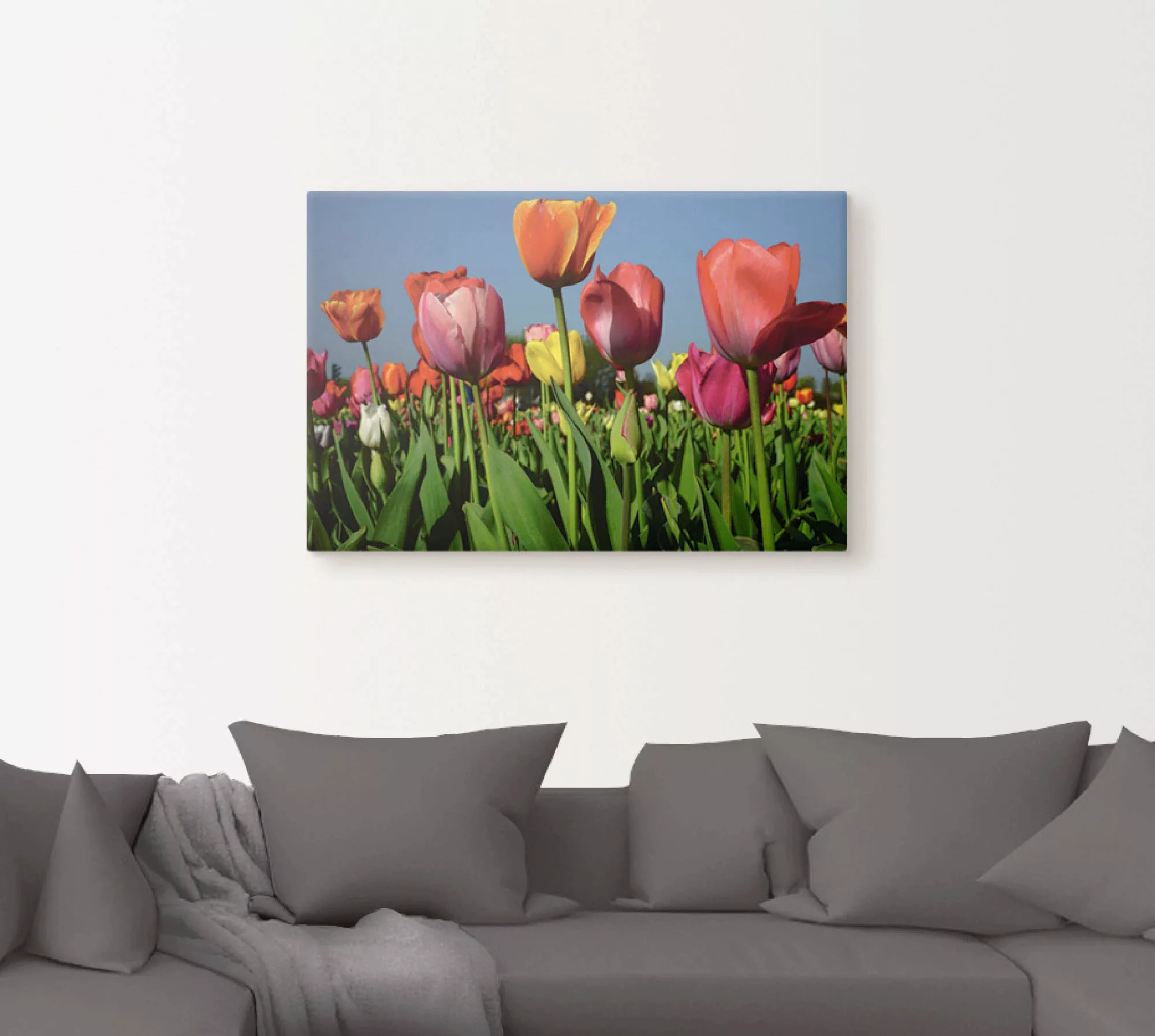 Artland Leinwandbild "Buntes Tulpenfeld", Blumen, (1 St.), auf Keilrahmen g günstig online kaufen