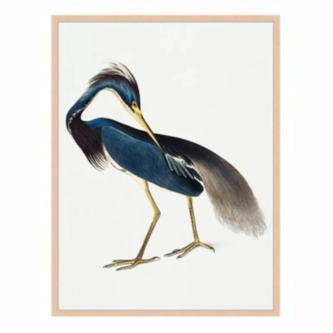 Milan Moon Wandbild Der Vogel beige Gr. 60 x 80 günstig online kaufen