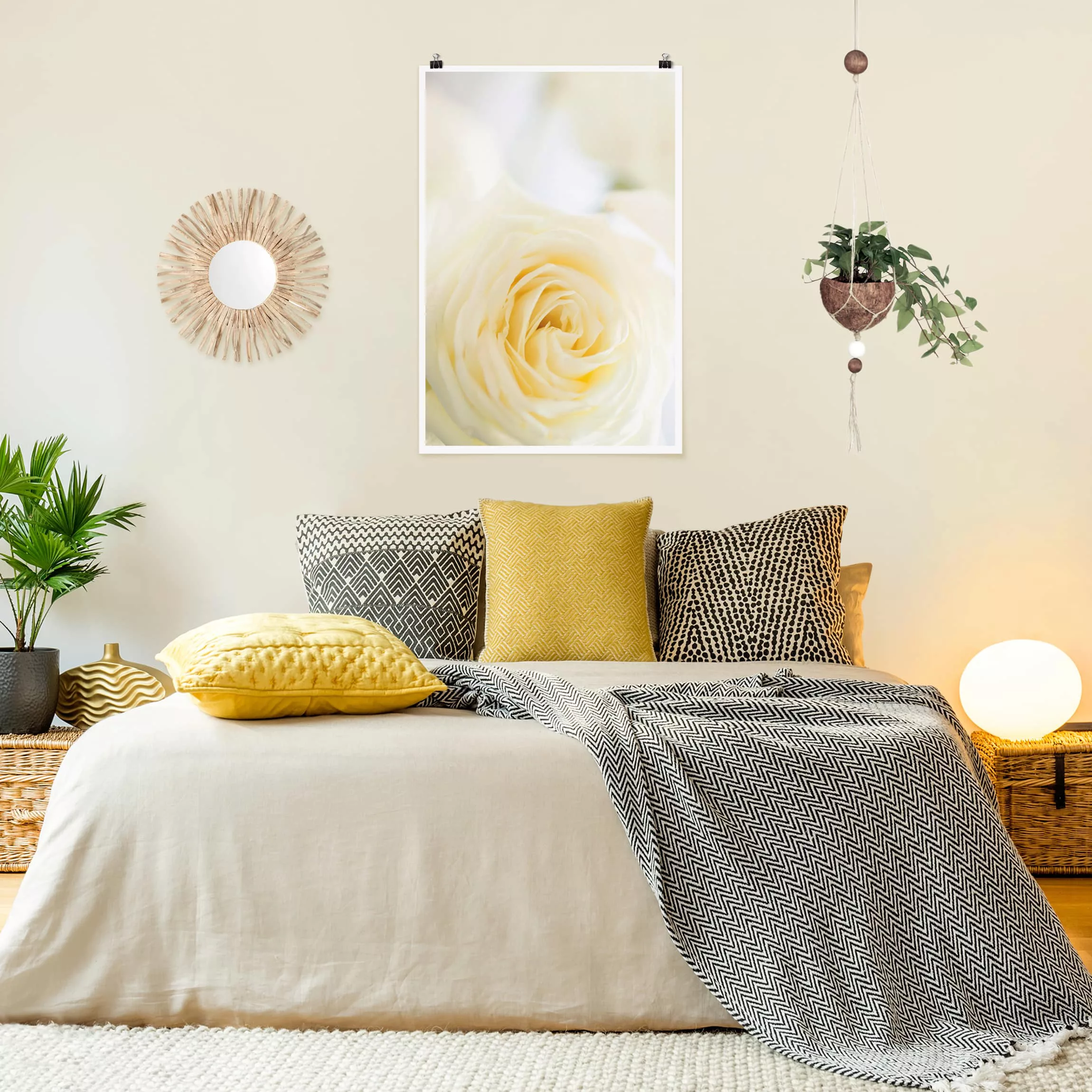 Poster Blumen - Hochformat White Rose günstig online kaufen