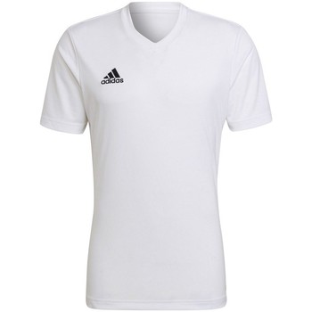 adidas  T-Shirt Entrada 22 günstig online kaufen