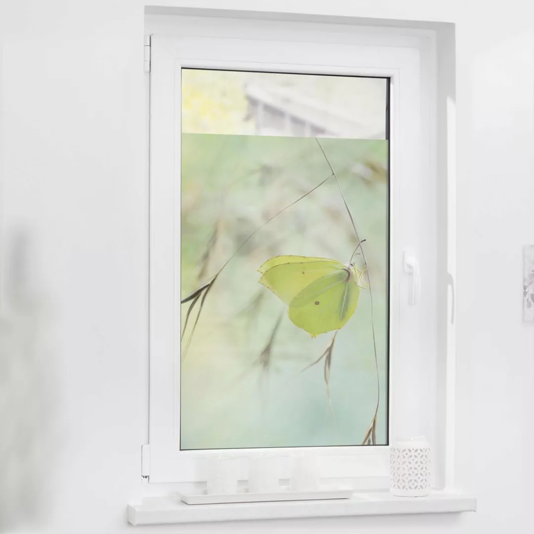 LICHTBLICK ORIGINAL Fensterfolie "Schmetterling Grün", 1 St., blickdicht, s günstig online kaufen