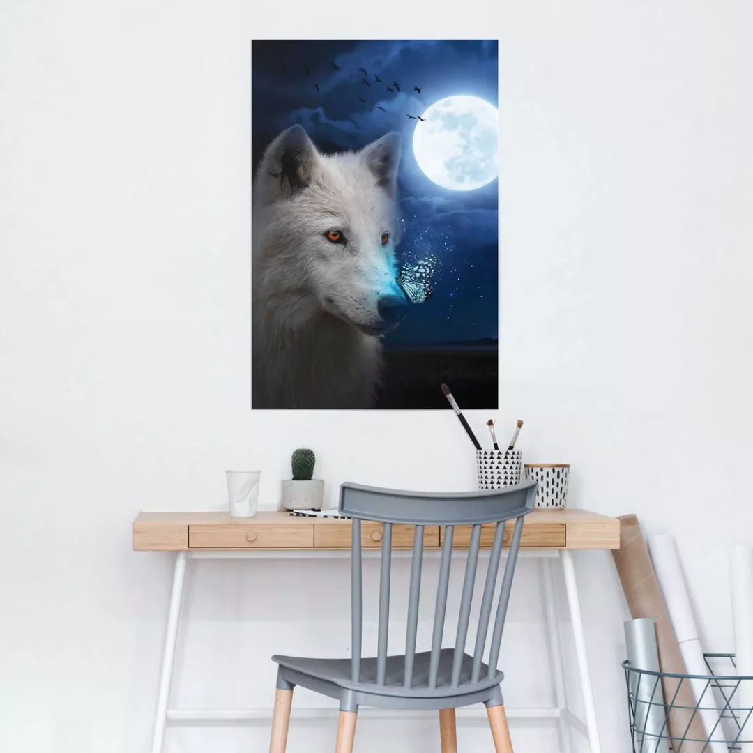 Reinders Poster "Weißer Wolf" günstig online kaufen