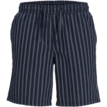 Jack & Jones  Shorts Shorts AIDEN Seersucker-Shorts günstig online kaufen