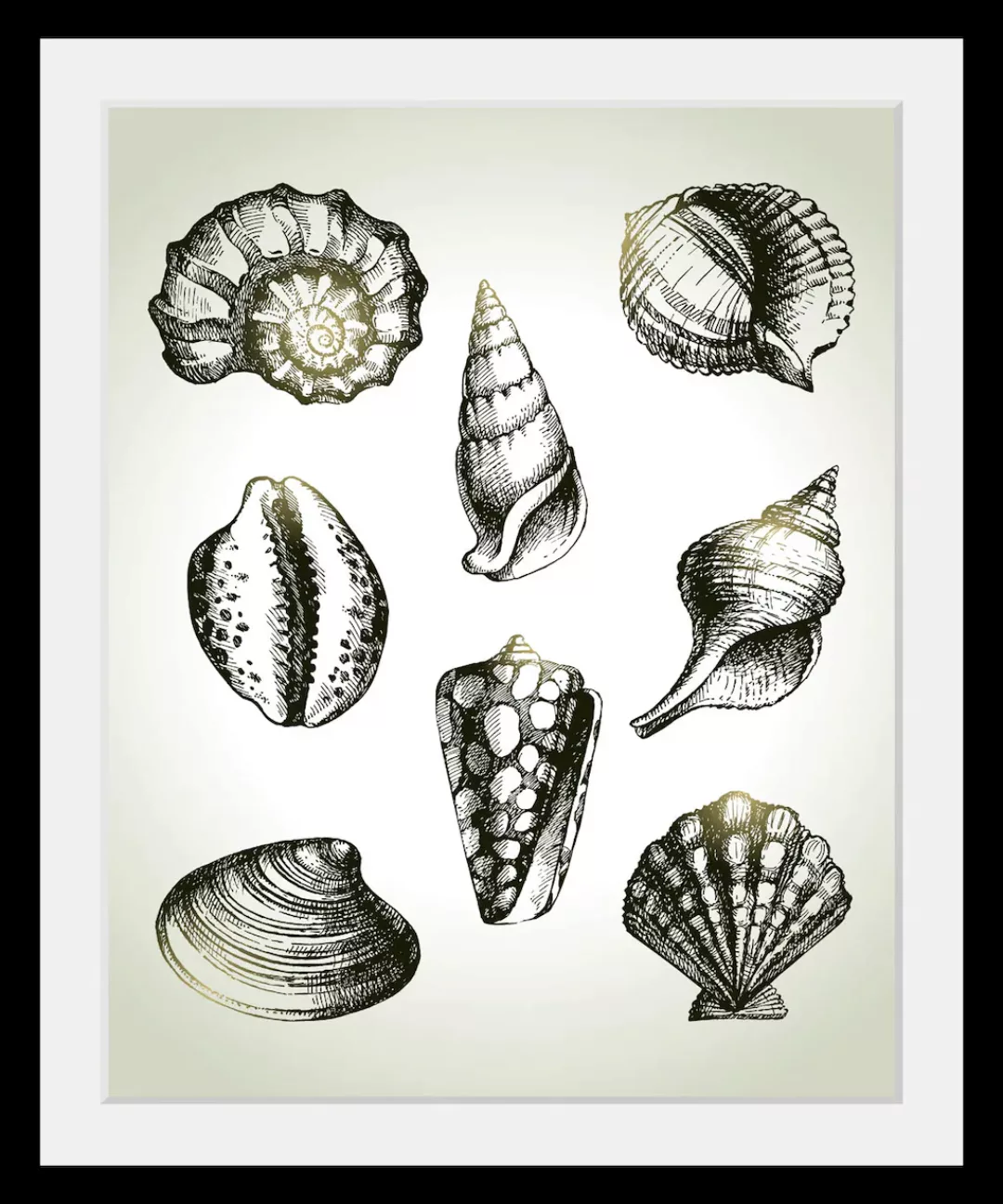 queence Bild »Willy«, Meer-Wassertiere-Kunst-Schwarz-Weiß, (1 St.), HD Prem günstig online kaufen
