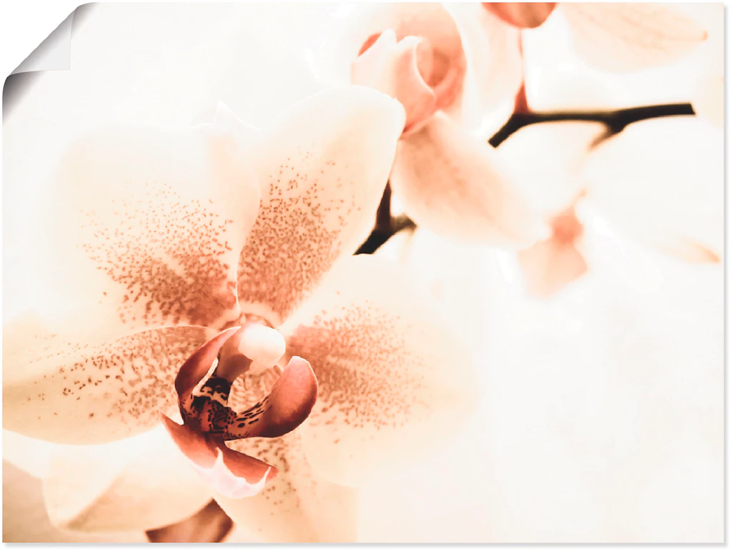 Artland Wandbild »Orchidee abstrakte Collage«, Blumen, (1 St.), als Leinwan günstig online kaufen