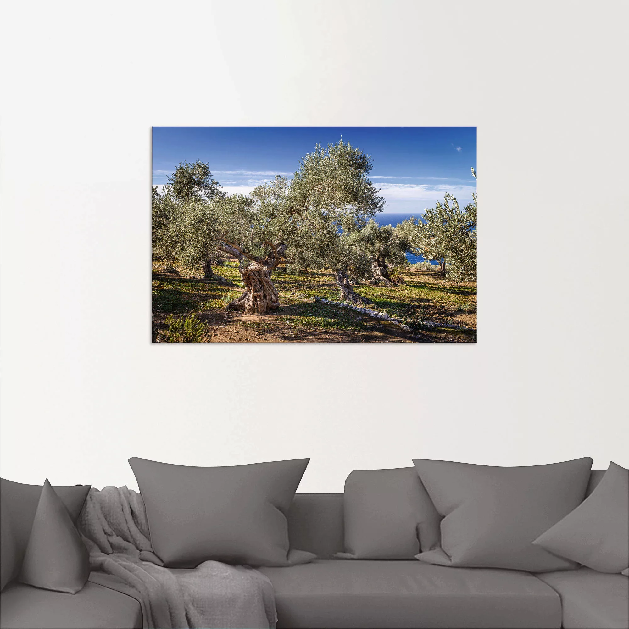 Artland Wandbild »Olivenhain in der Serra de Tramuntana«, Küstenbilder, (1 günstig online kaufen