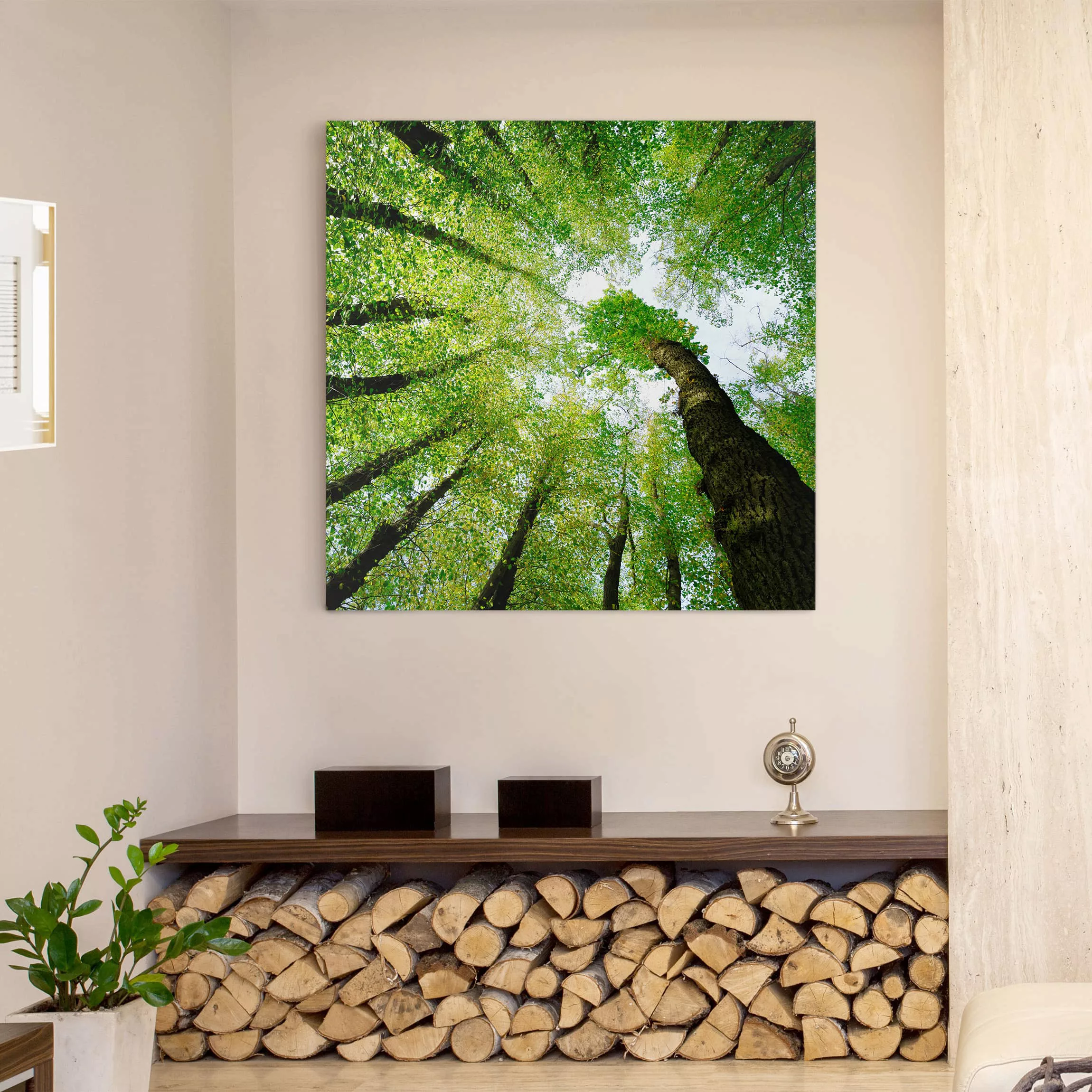 Leinwandbild Wald - Quadrat Bäume des Lebens günstig online kaufen