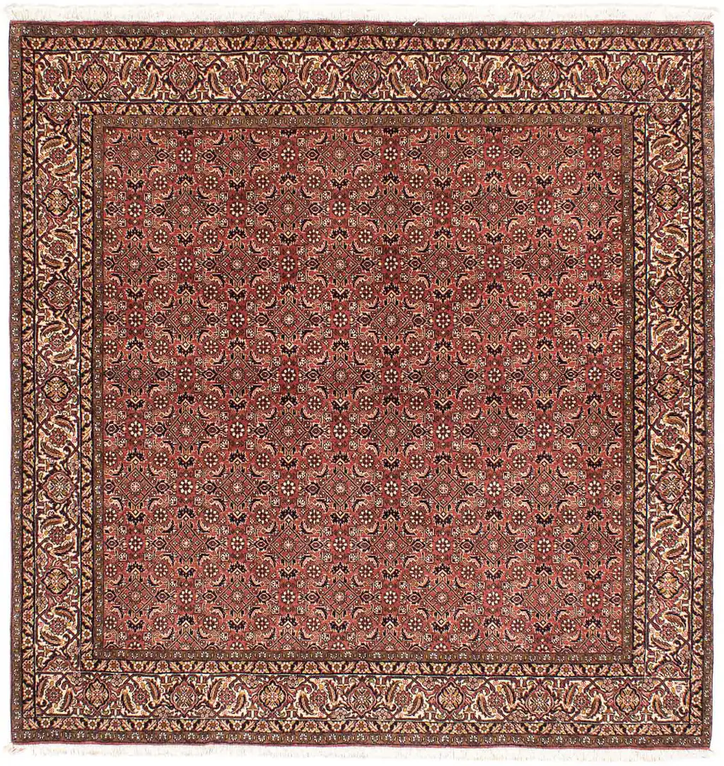 morgenland Orientteppich »Perser - Bidjar quadratisch - 200 x 195 cm - hell günstig online kaufen