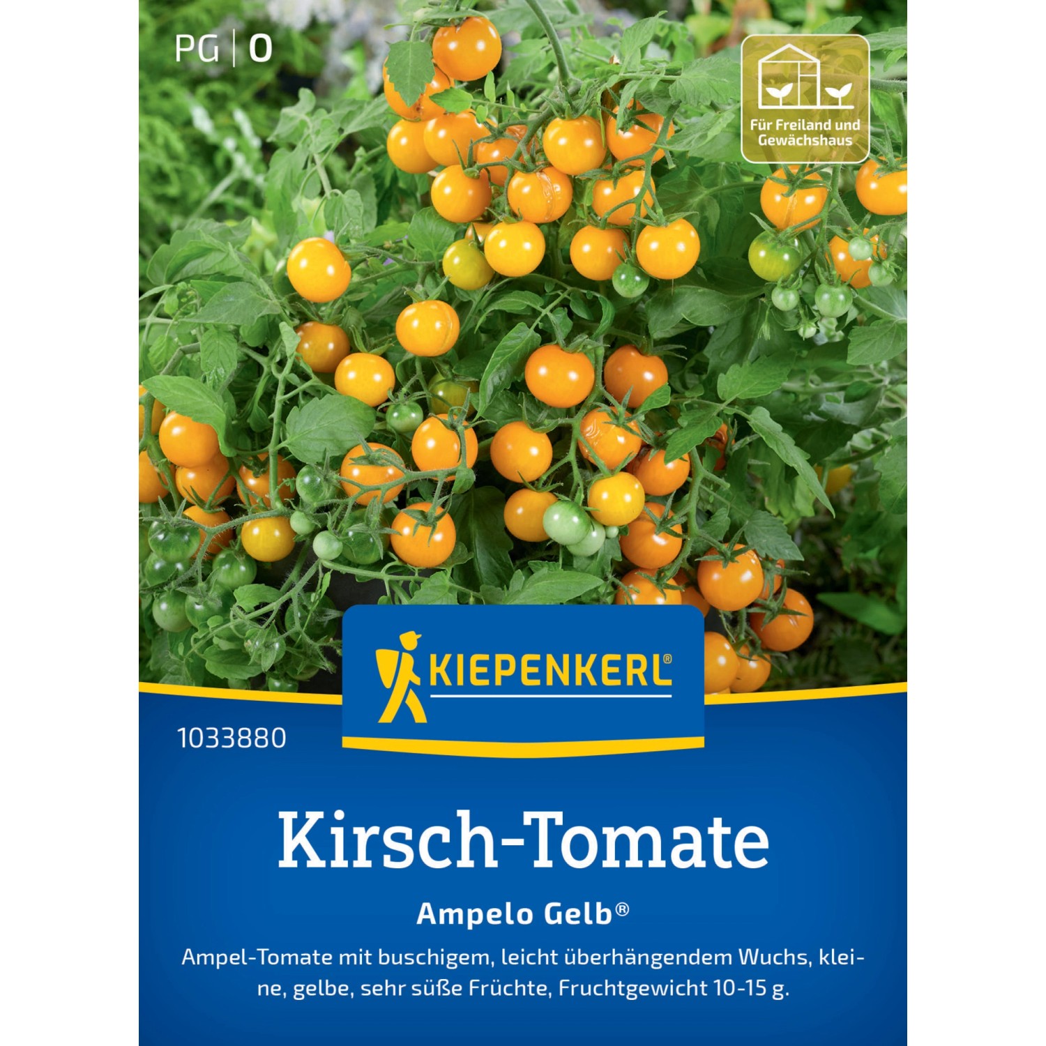 Kiepenkerl Profi-Line Kirsch-Tomate Ampelo Gelb F1-Hybride günstig online kaufen