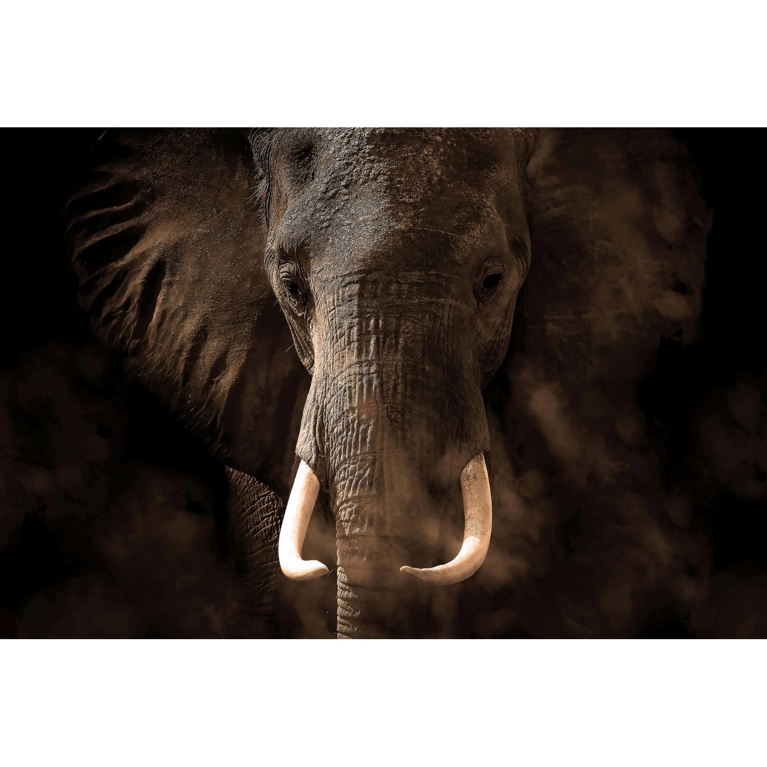 Sanders & Sanders Fototapete Elefant Dunkelbraun 3,6 x 2,7 m 601021 günstig online kaufen