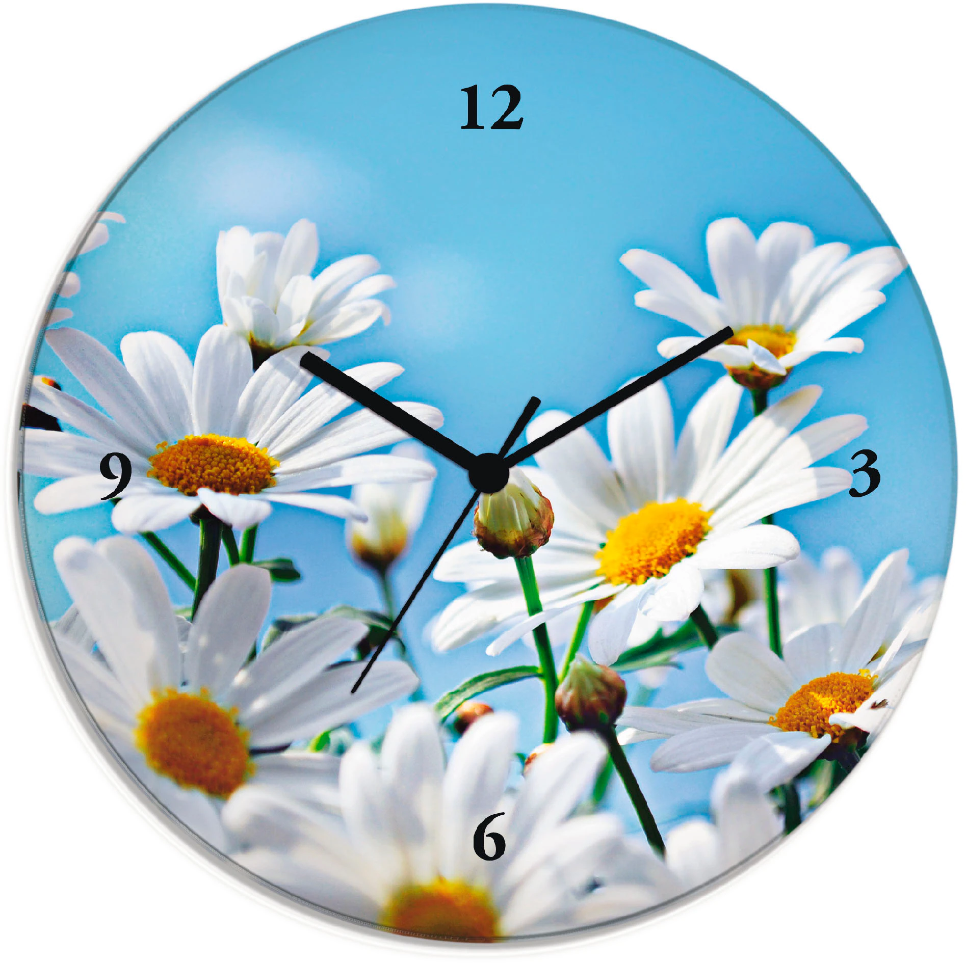 Artland Wanduhr "Blumen - Margeriten" günstig online kaufen