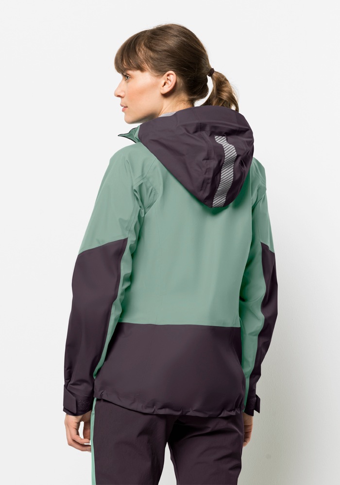 Jack Wolfskin Funktionsjacke "ALPSPITZE 3L JKT W", mit Kapuze günstig online kaufen