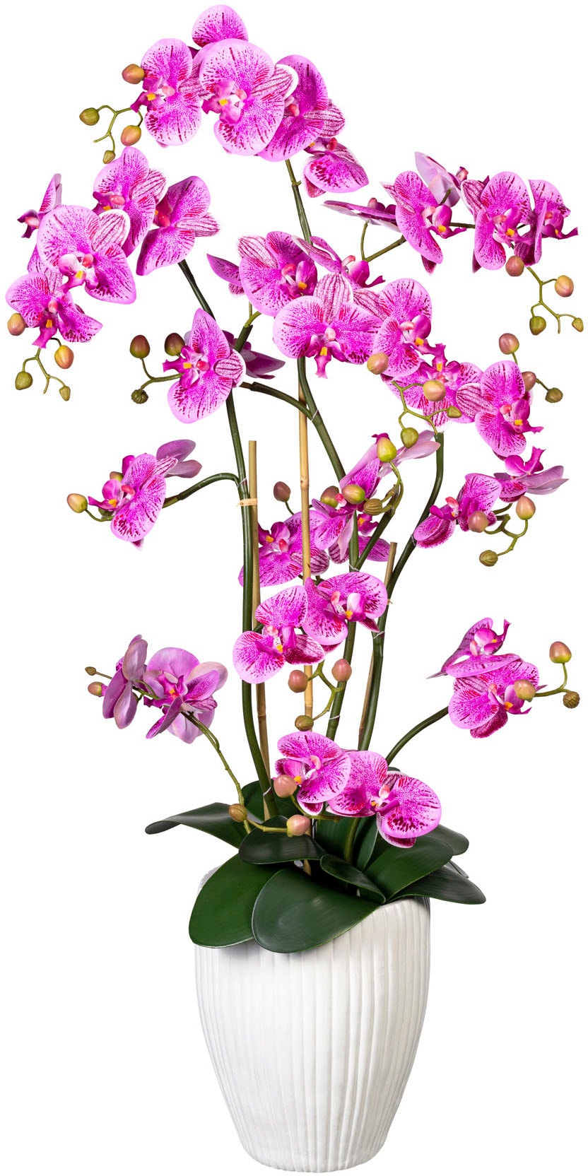 Creativ green Kunstorchidee "Deko-Orchidee Phalaenopsis XL im Keramiktopf" günstig online kaufen