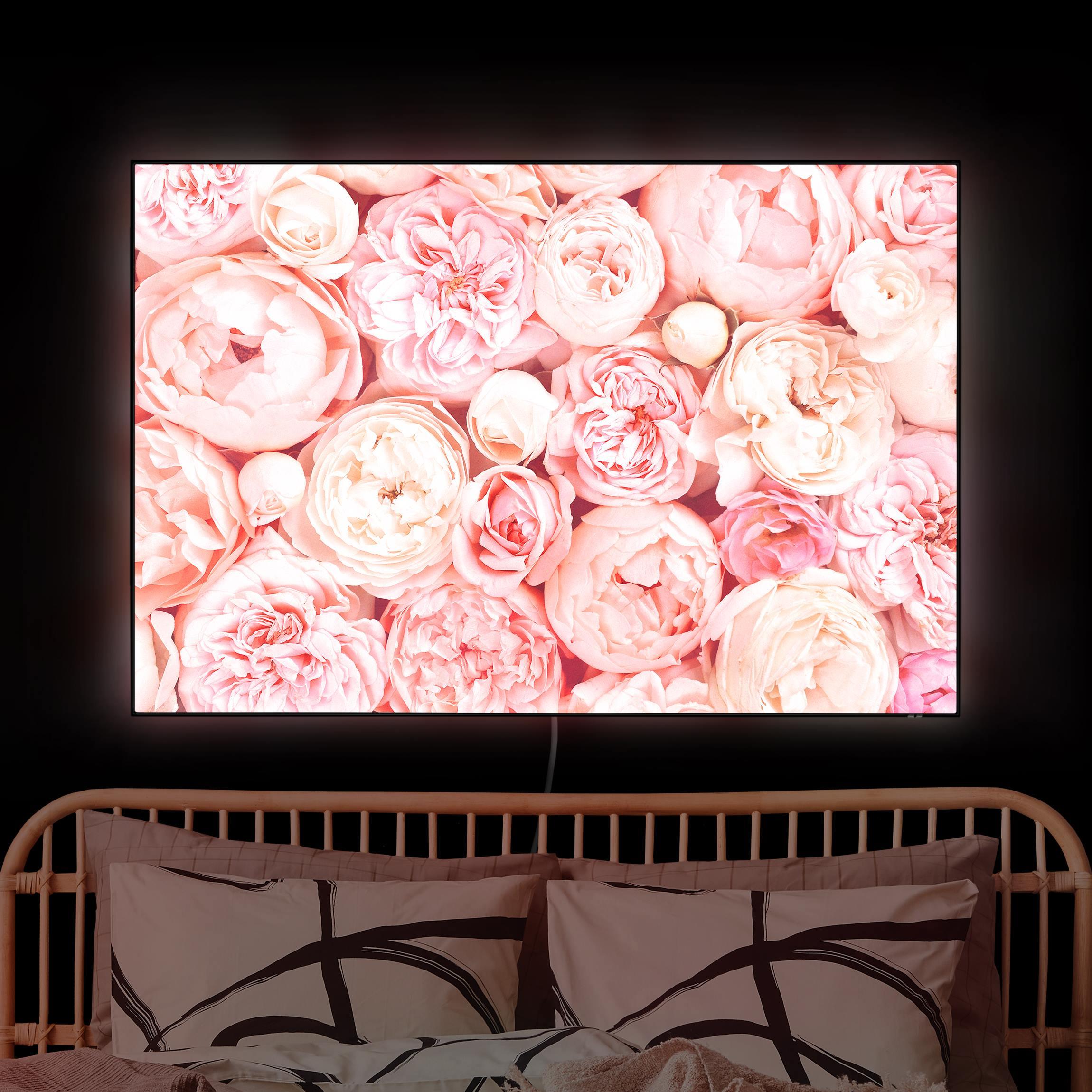 LED-Wechselbild Rosen Rosé Koralle Shabby günstig online kaufen