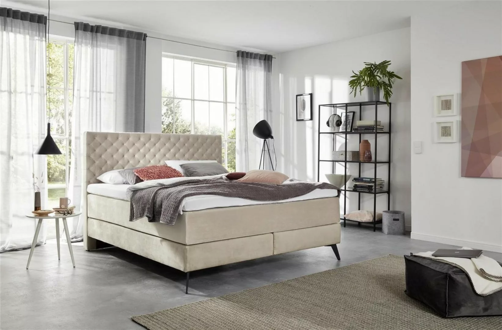 möbelando Boxspringbett LA Maison, Das Boxspringbett im Samtstoff mit geste günstig online kaufen