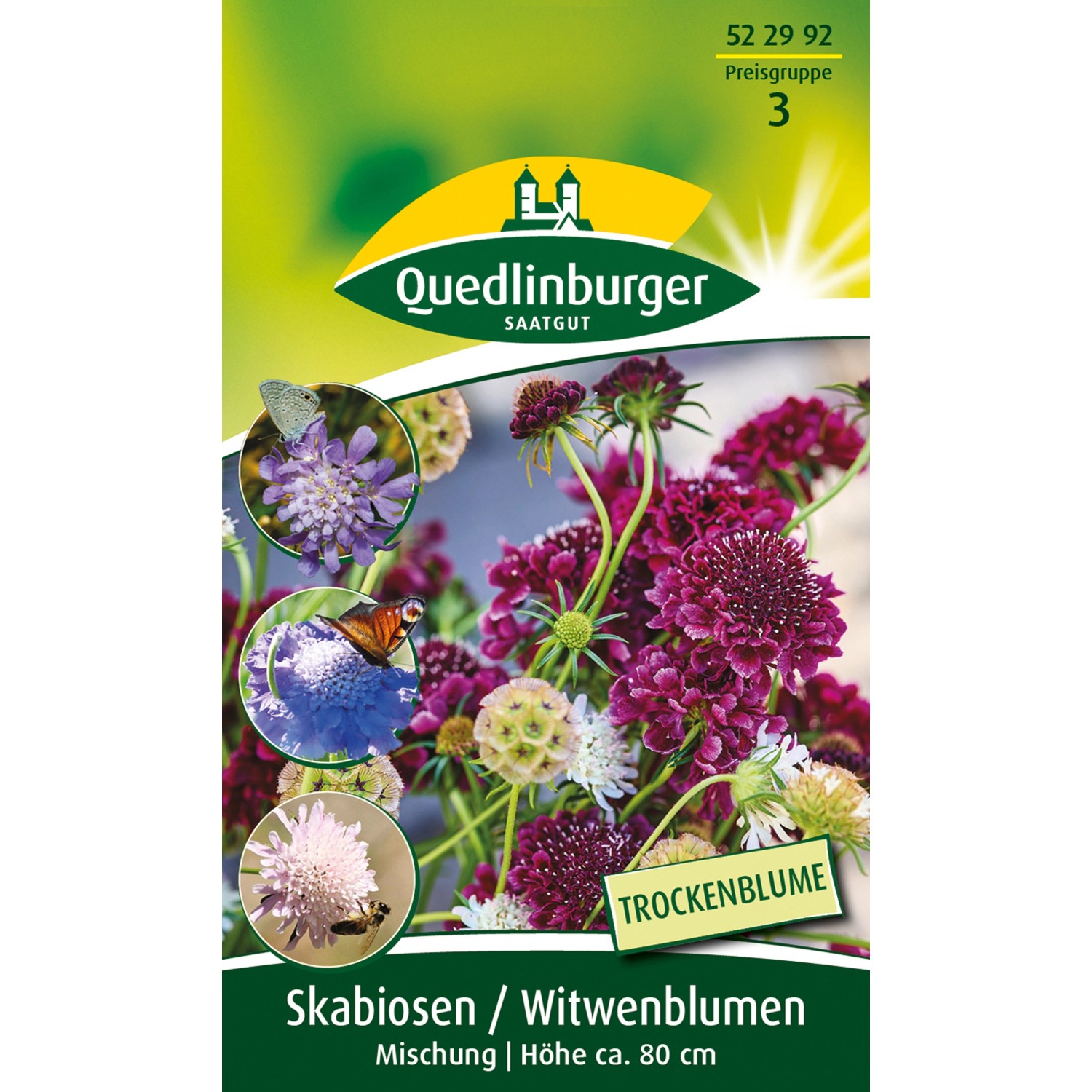 Quedlinburger Skabiose Witwenblume ''Mischung'' günstig online kaufen