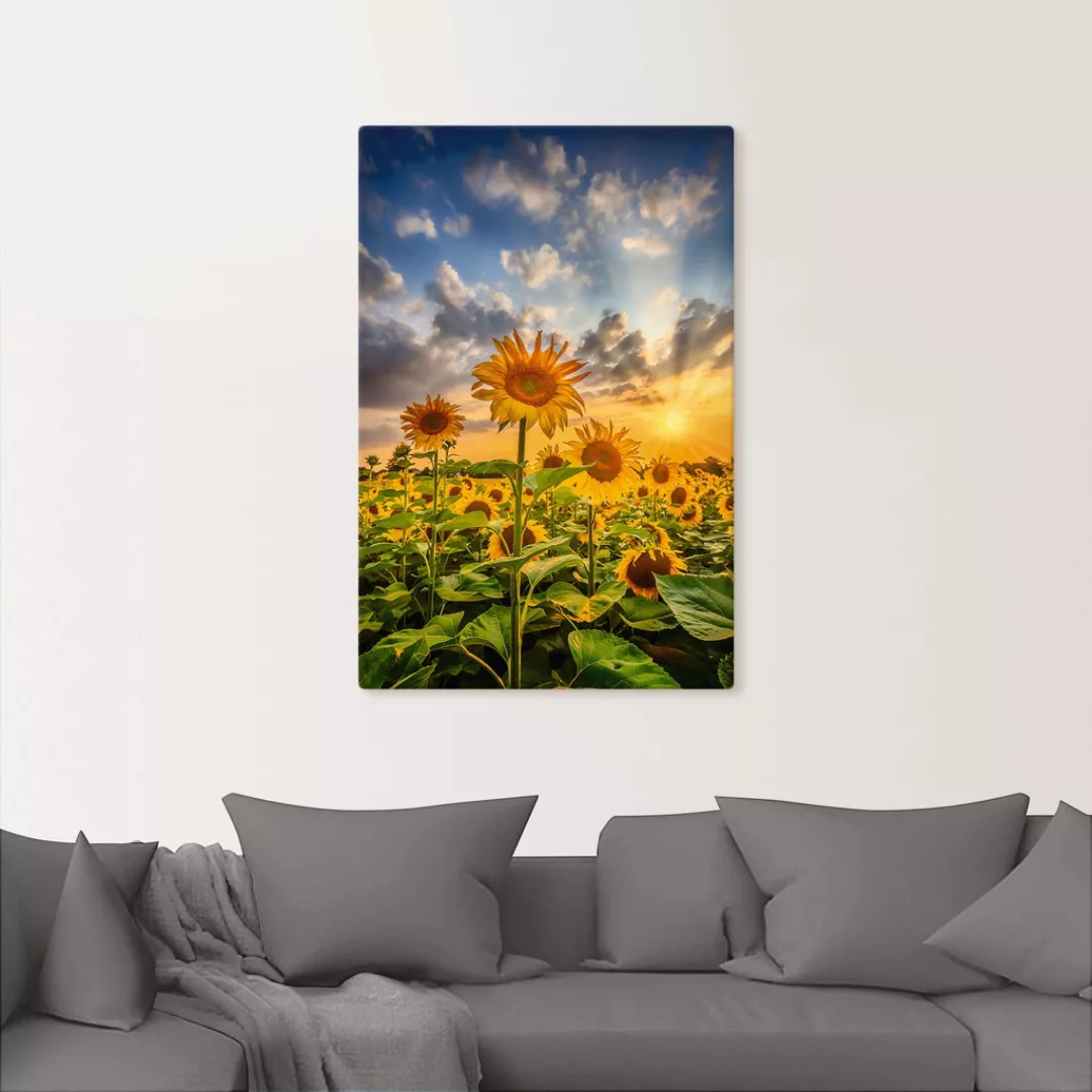 Artland Wandbild »Sonnenblumen im Sonnenuntergang«, Blumenbilder, (1 St.), günstig online kaufen